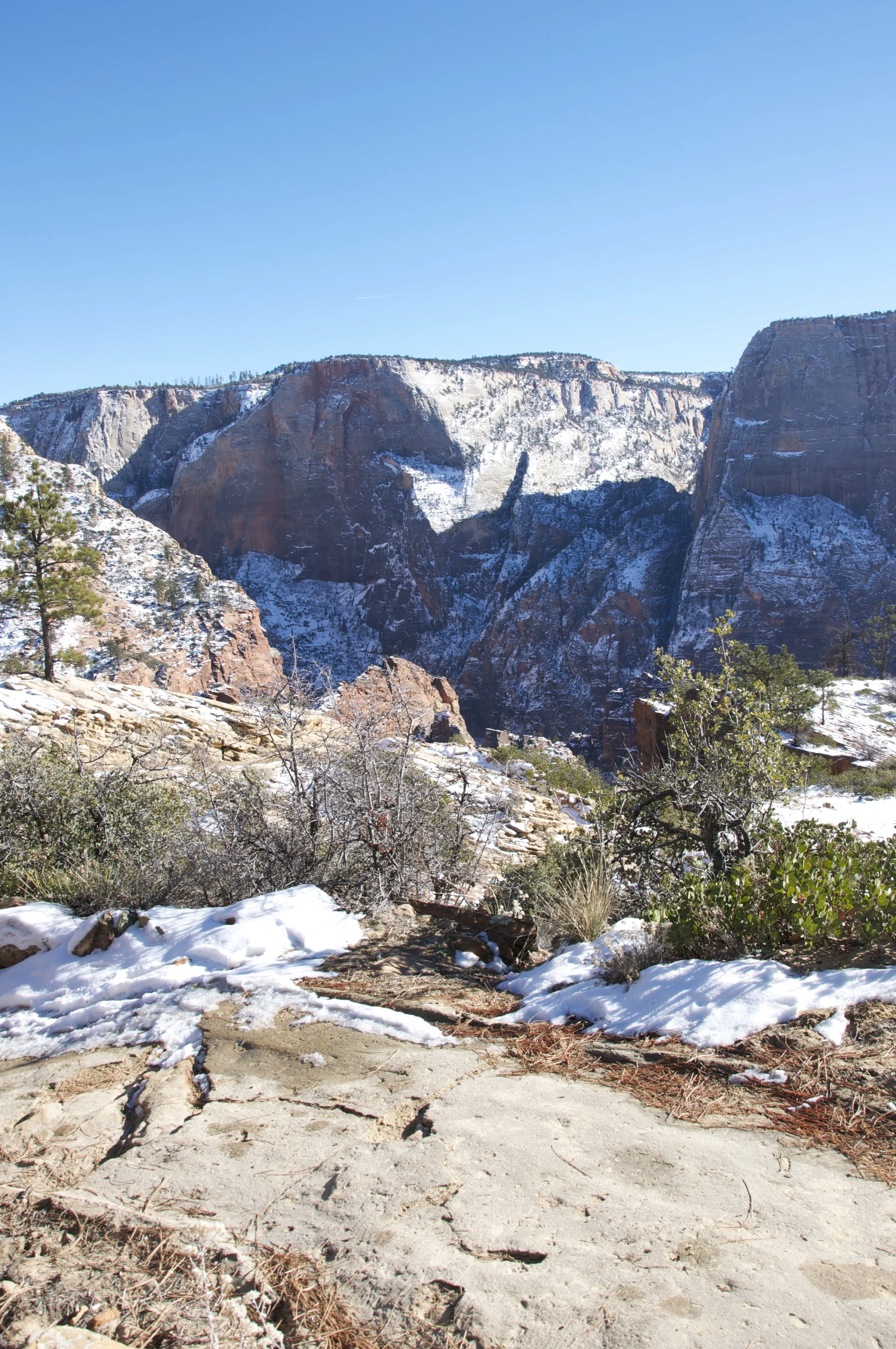 DSC_0133.jpg