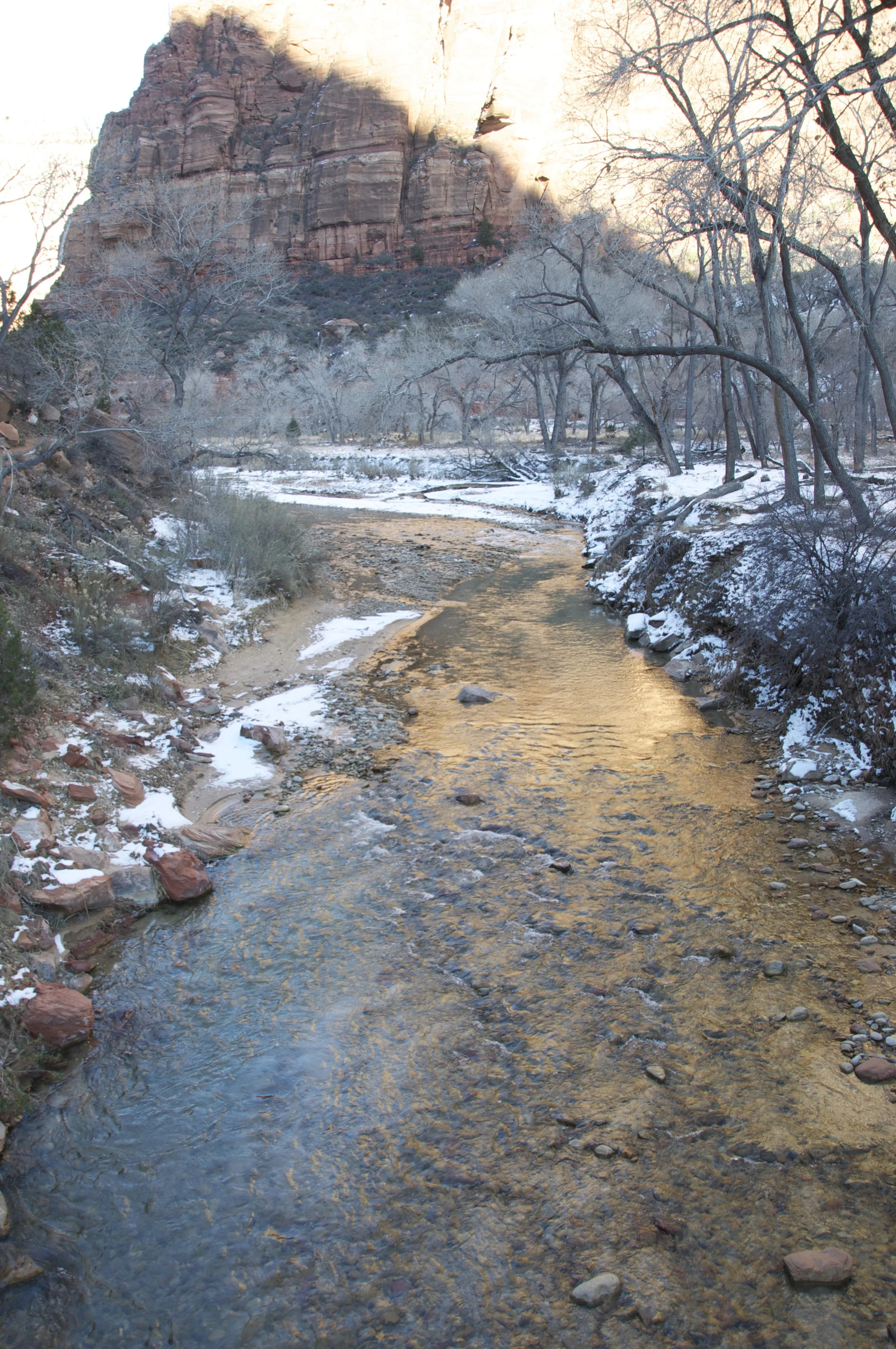 DSC_0148.jpg