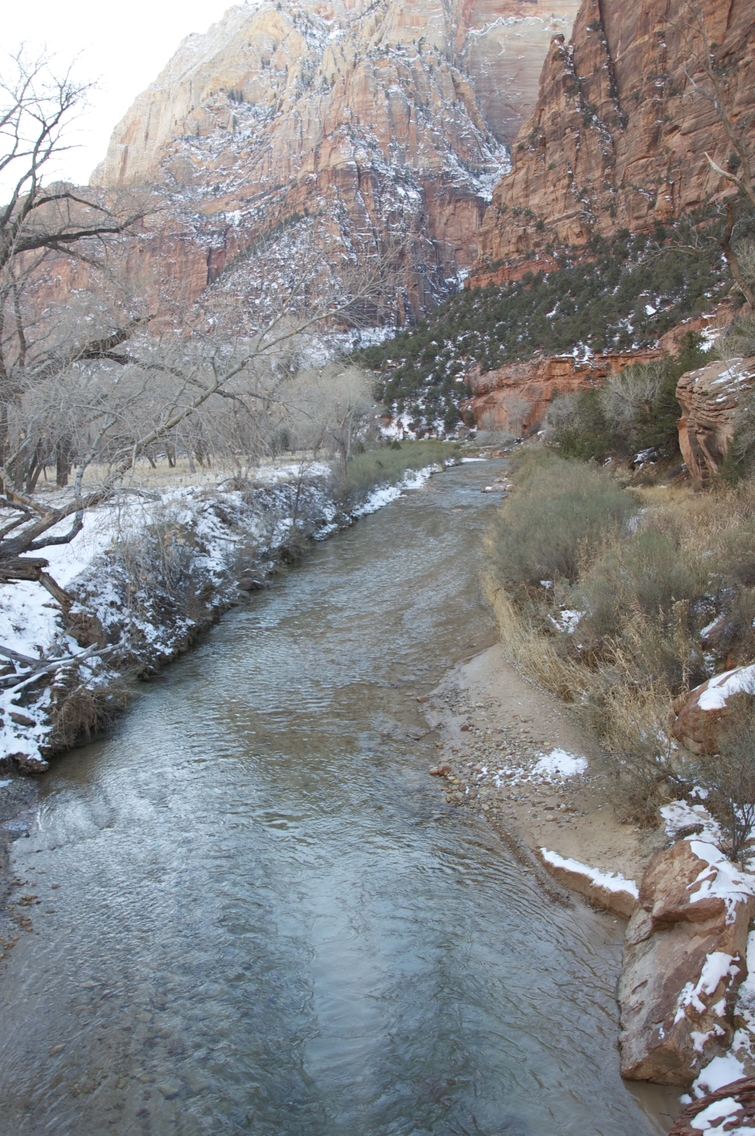 DSC_0149.jpg