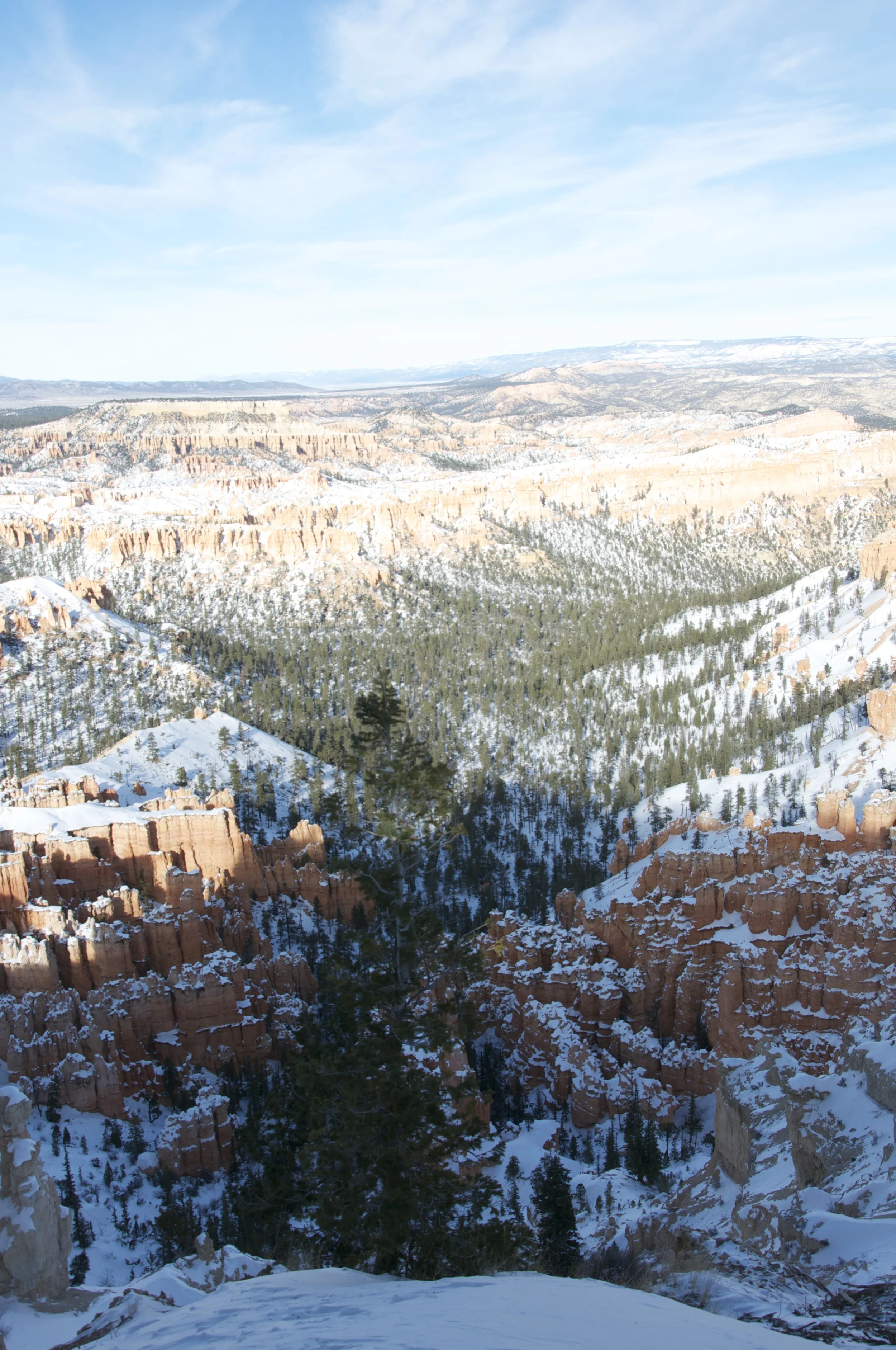 DSC_0170.jpg