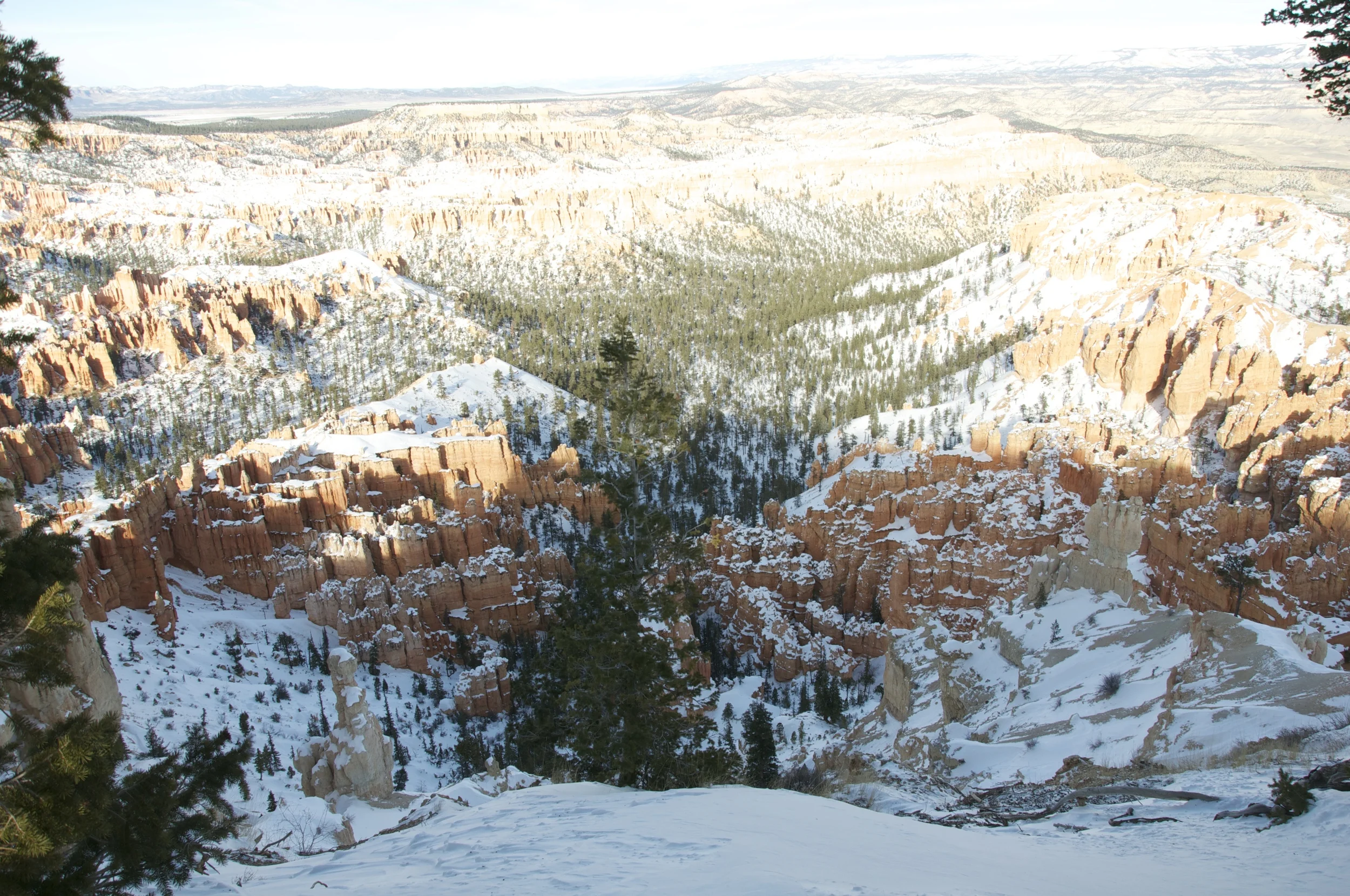 DSC_0169.jpg