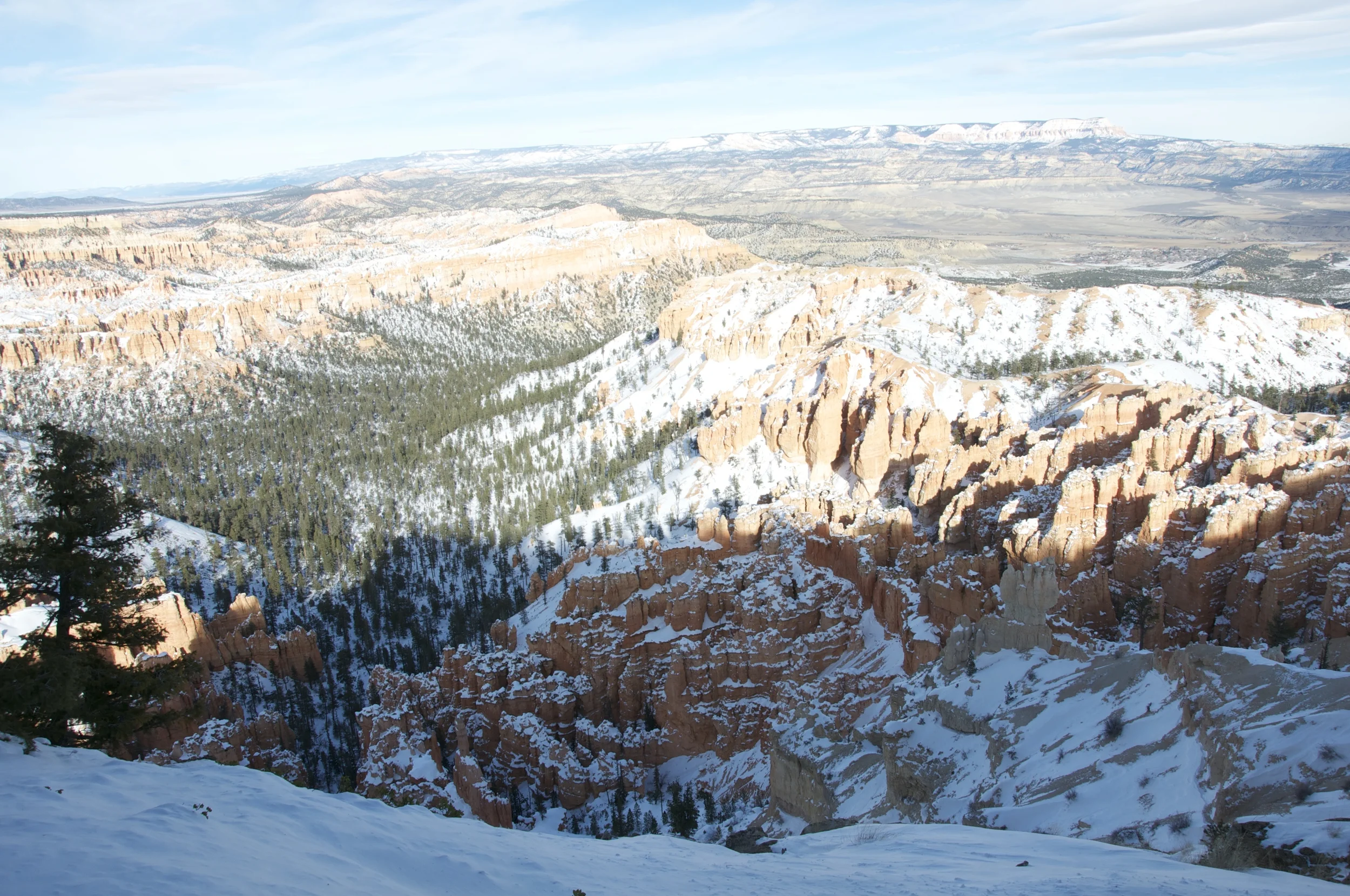 DSC_0173.jpg