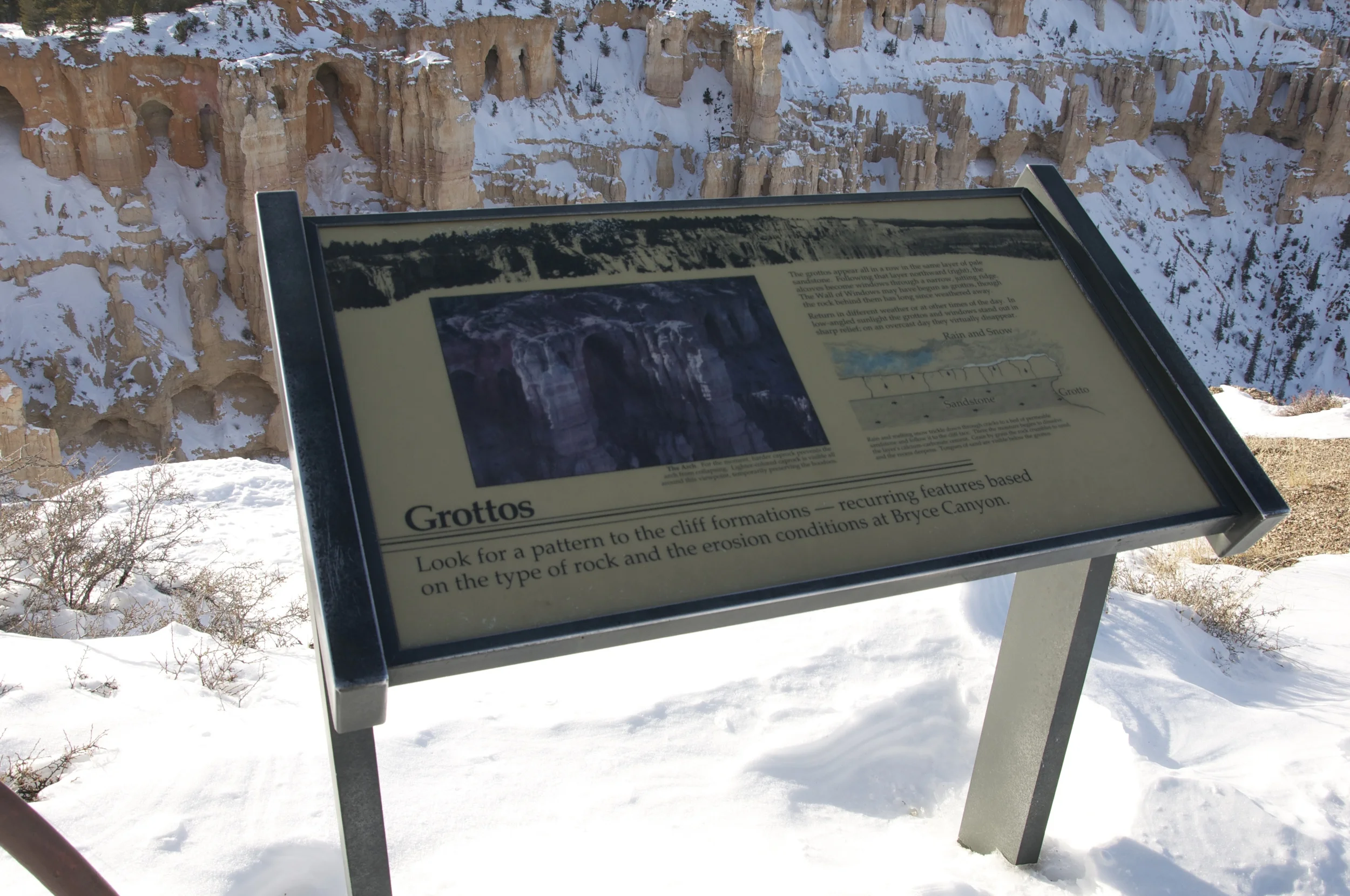 DSC_0177.jpg