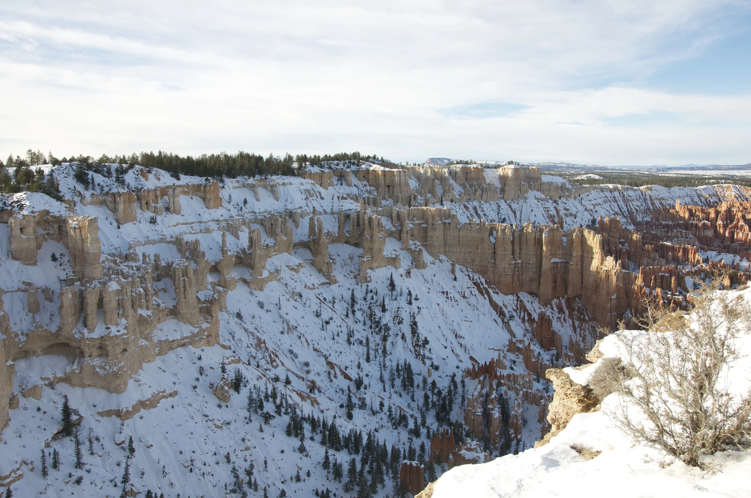 DSC_0176.jpg