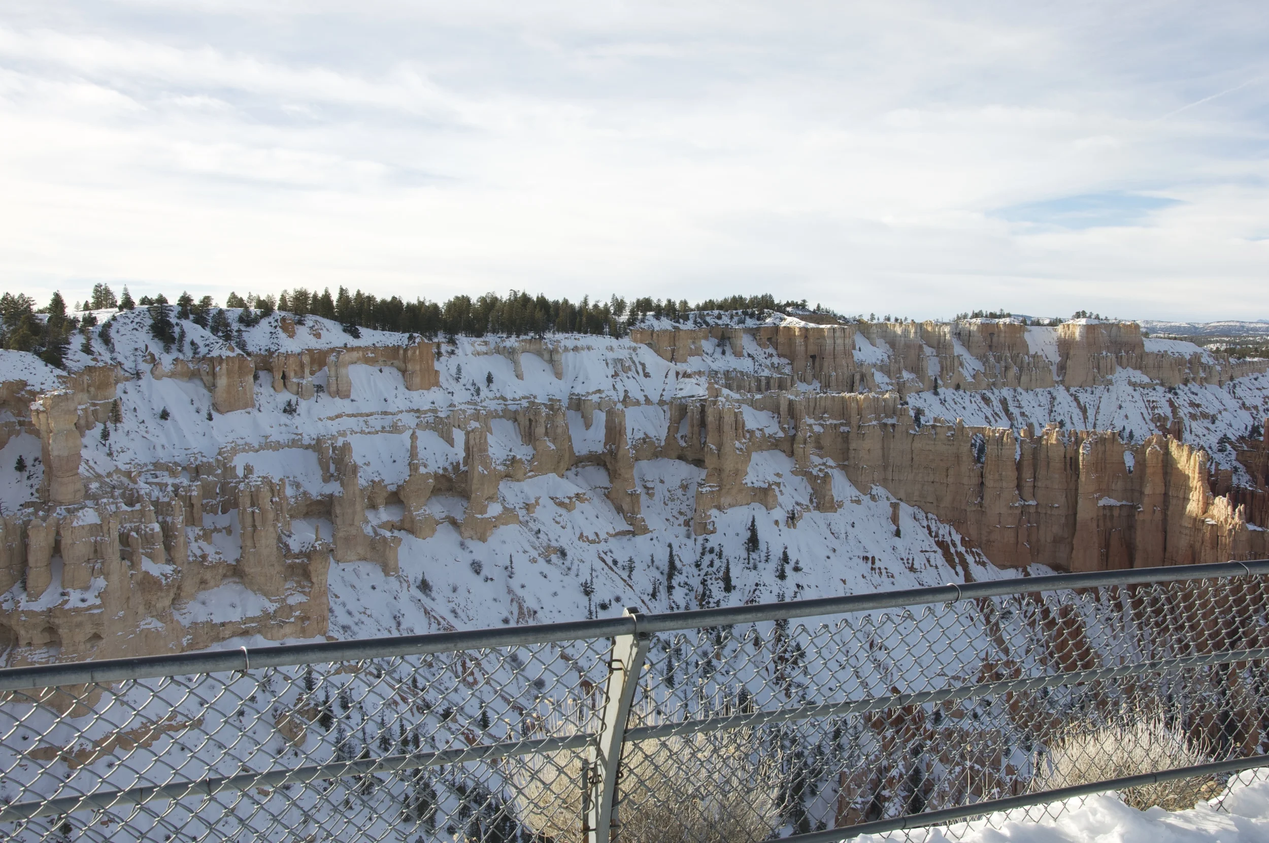 DSC_0184.jpg