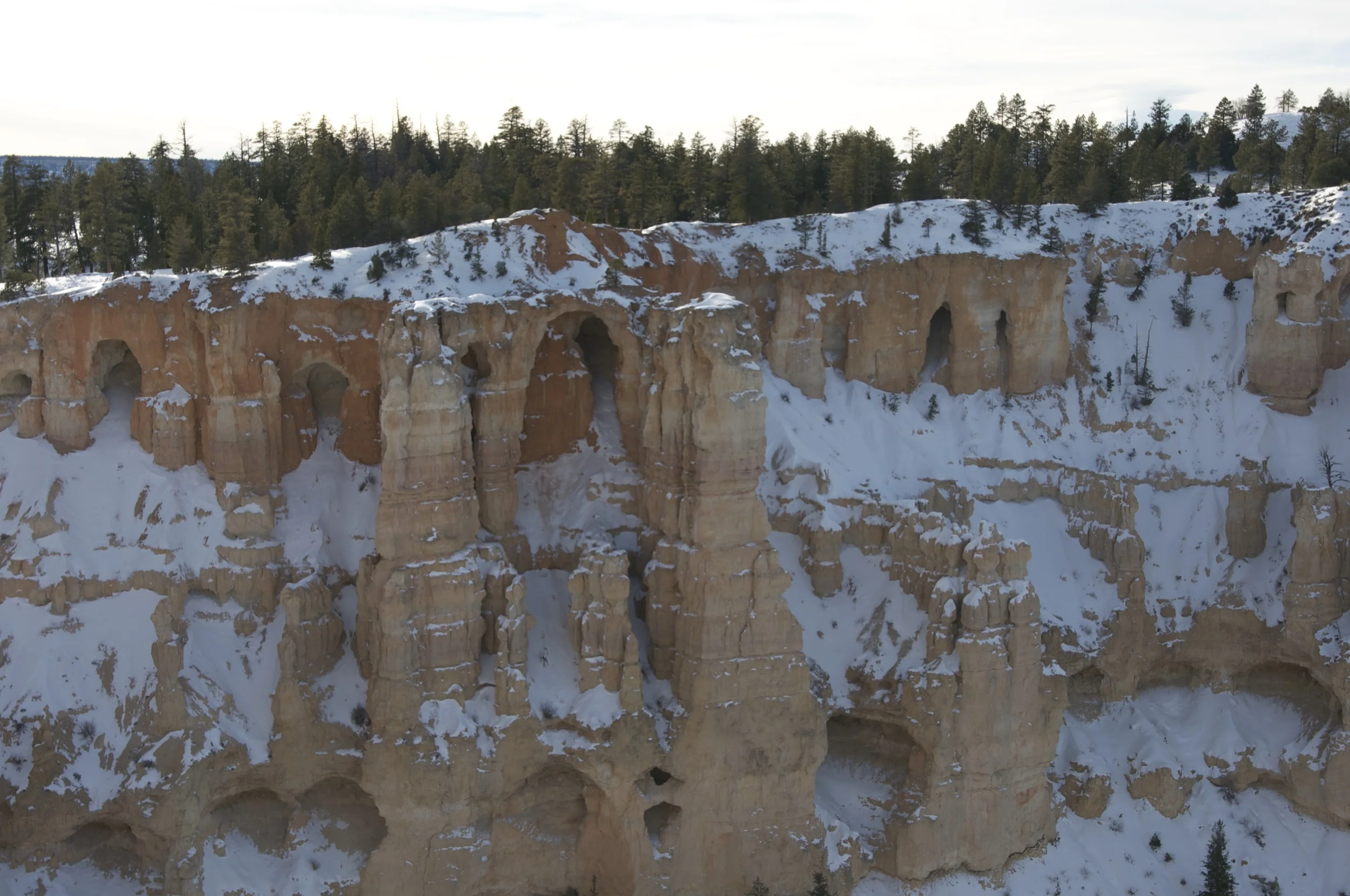 DSC_0186.jpg