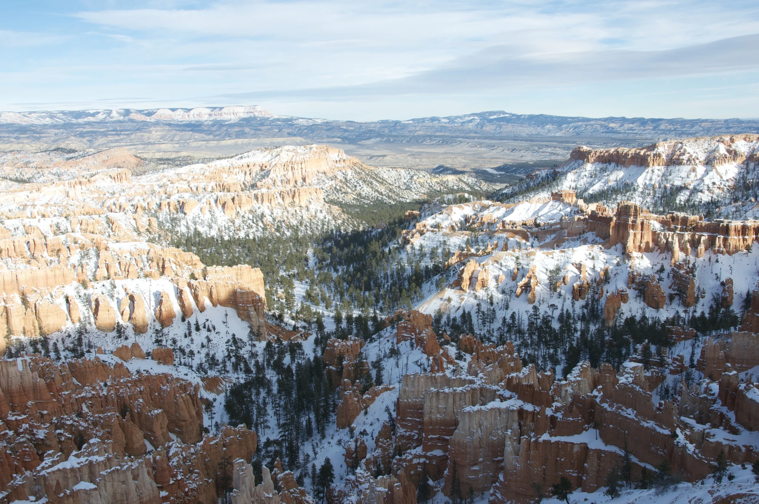 DSC_0193.jpg