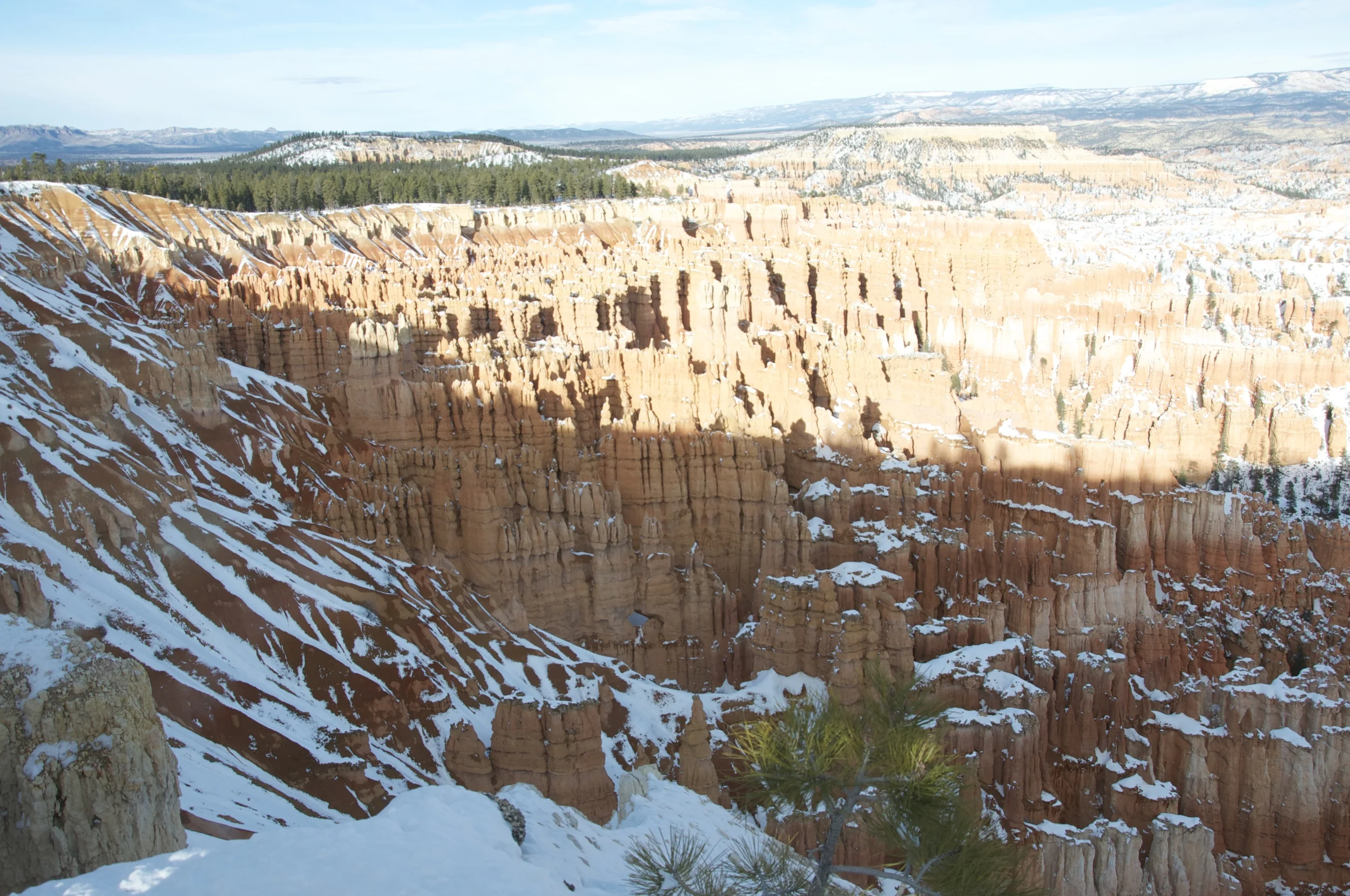 DSC_0194.jpg