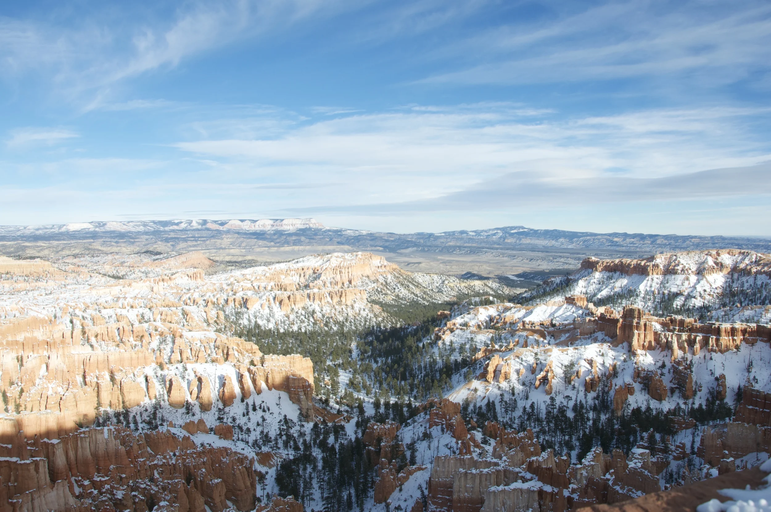 DSC_0195.jpg