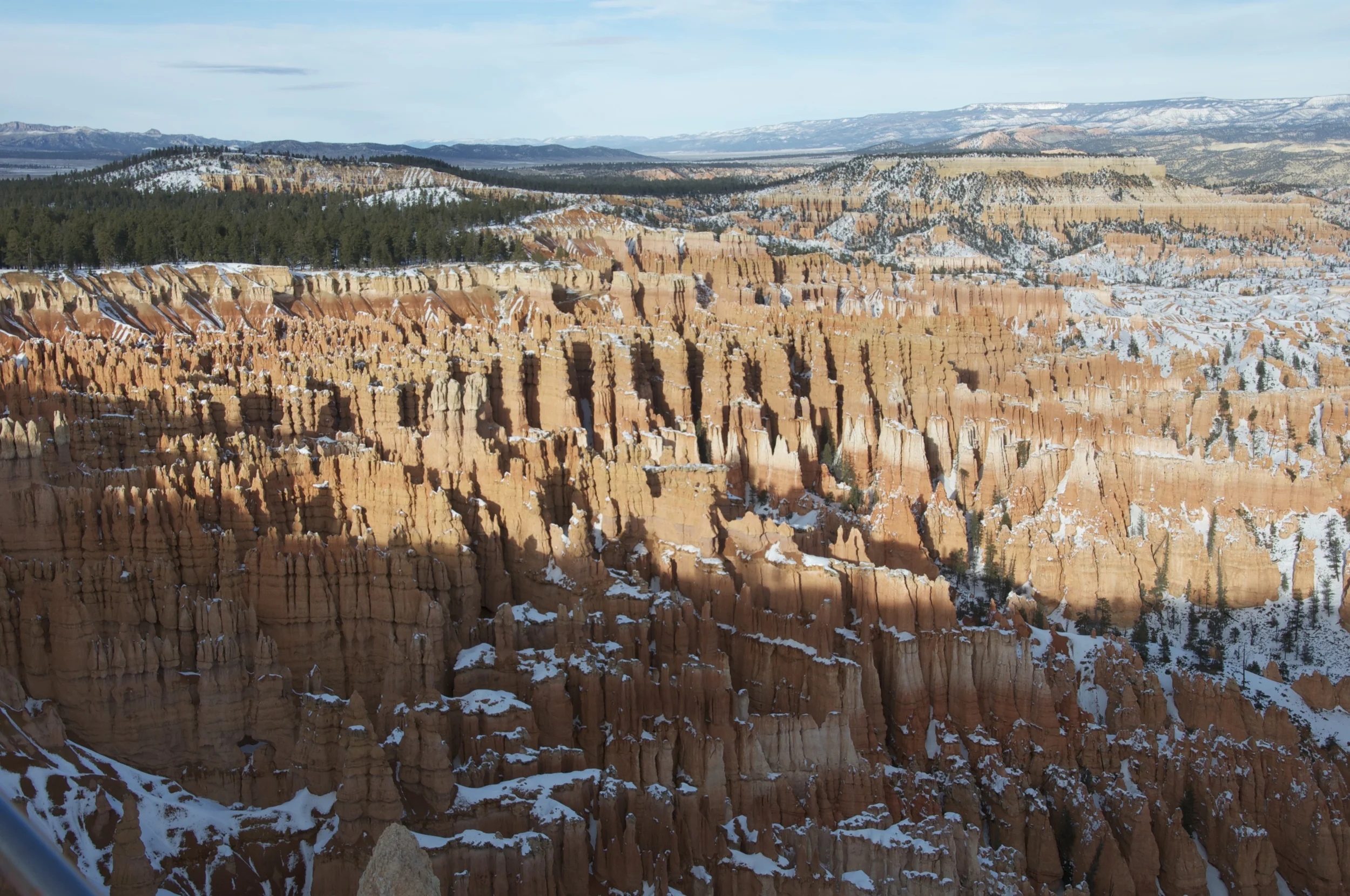 DSC_0197.jpg