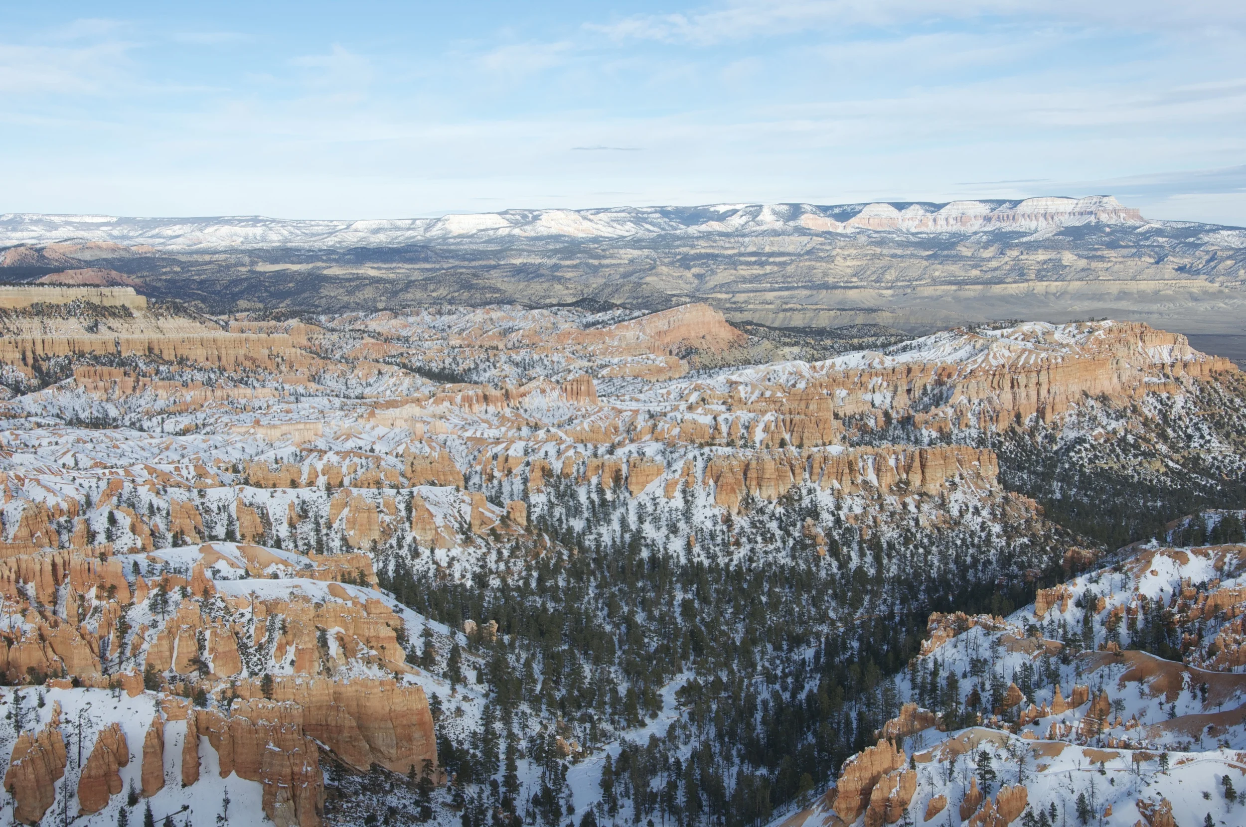 DSC_0200.jpg