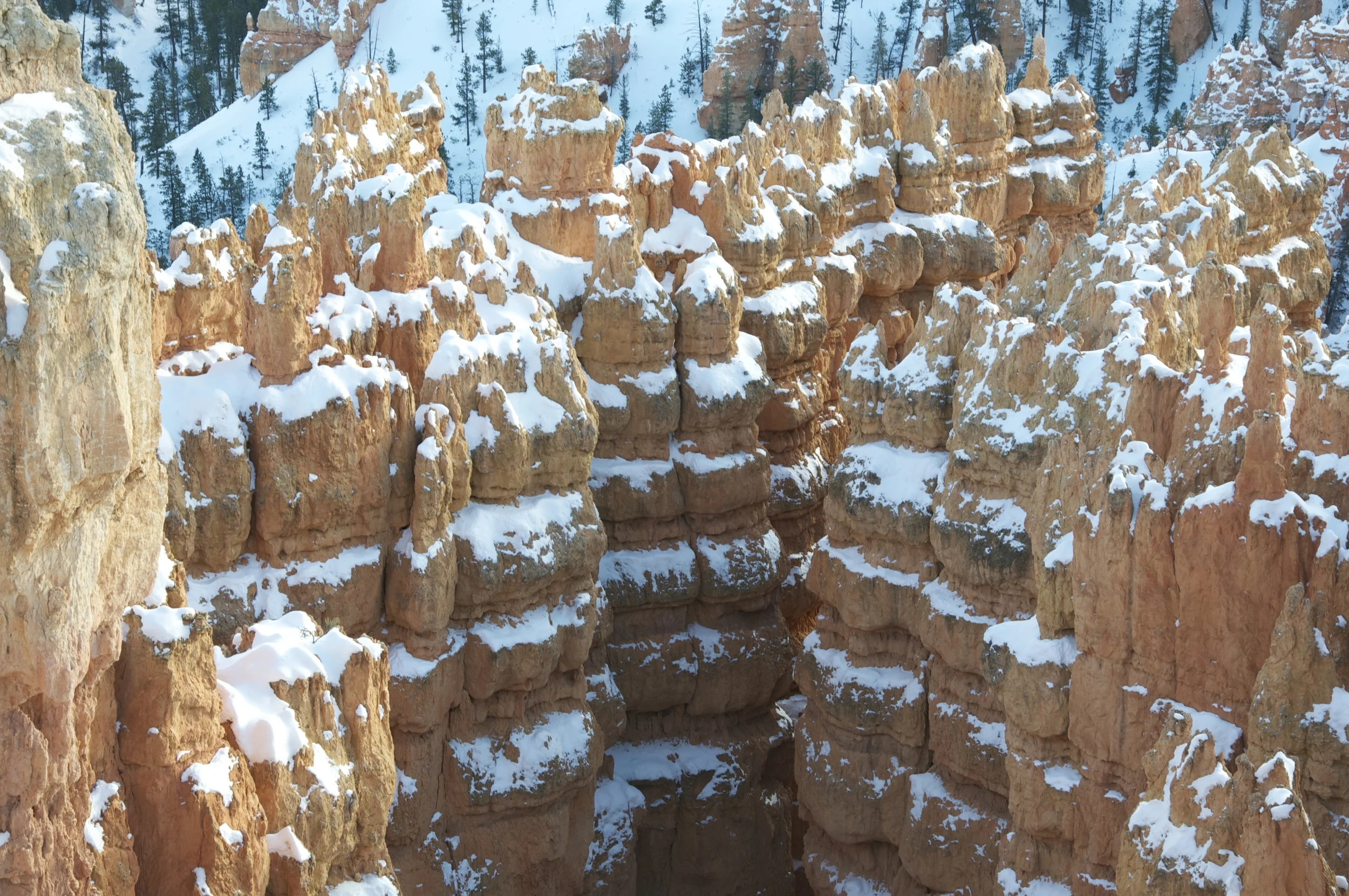 DSC_0204.jpg