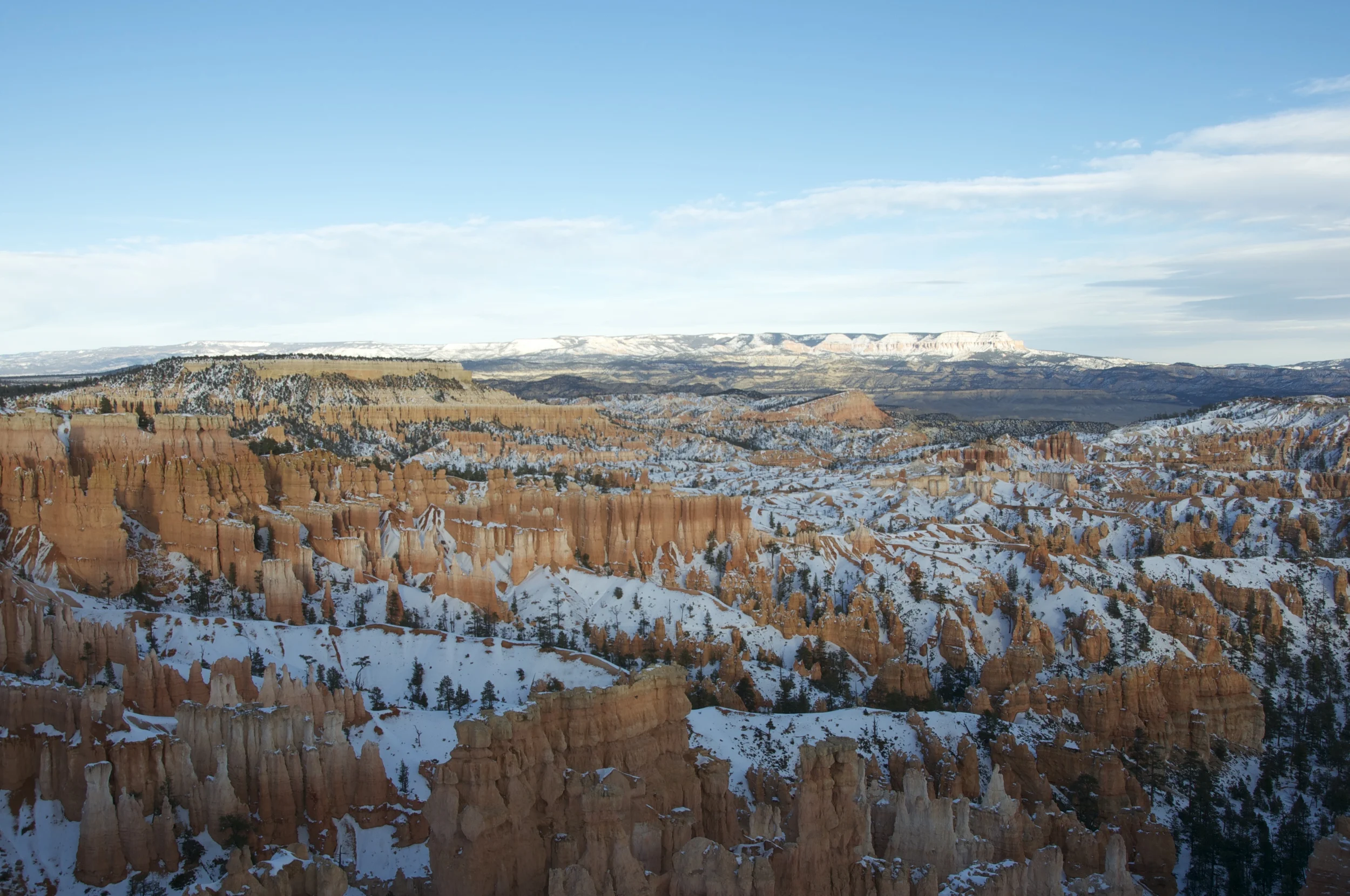 DSC_0206.jpg