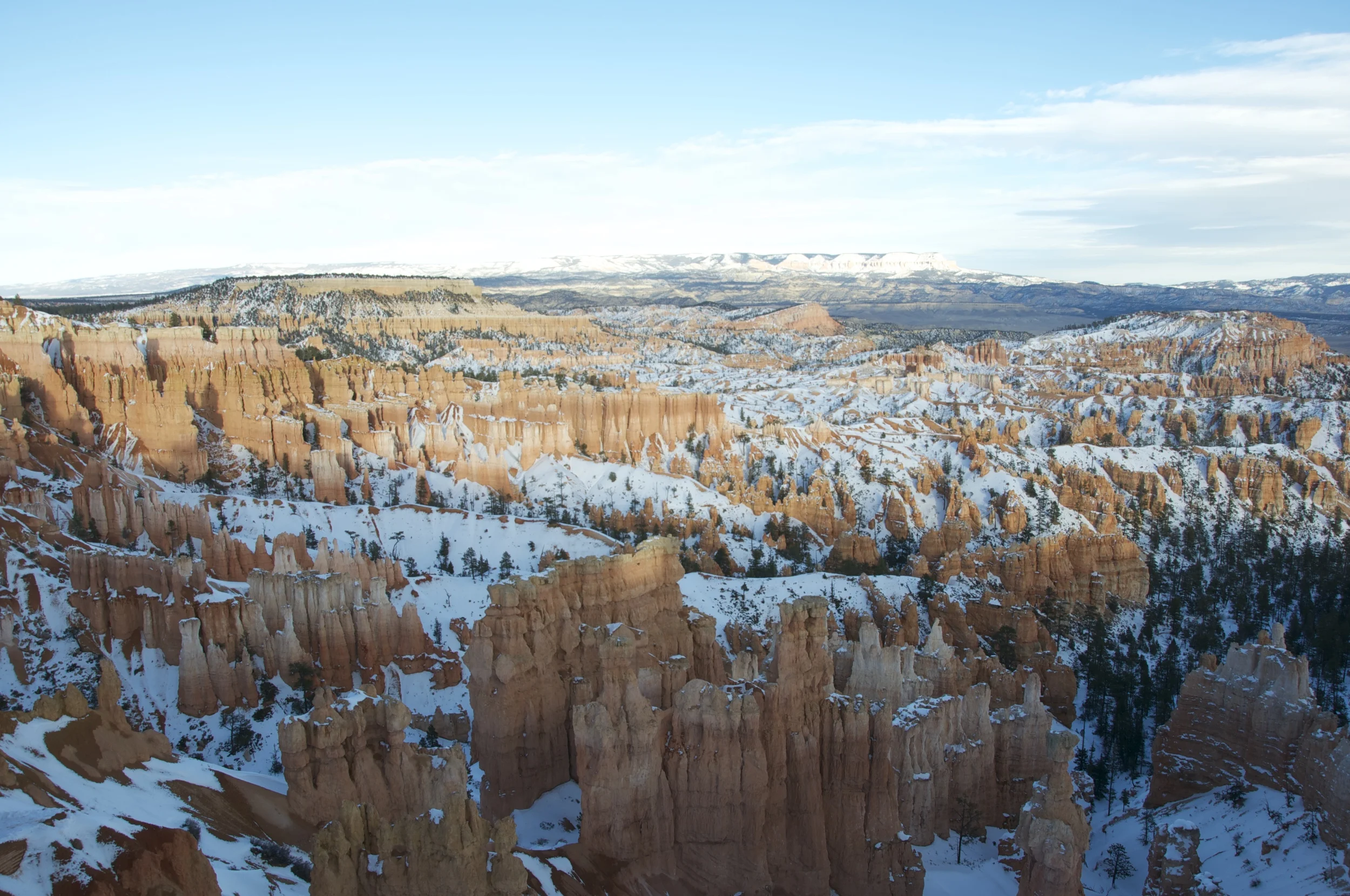 DSC_0210.jpg