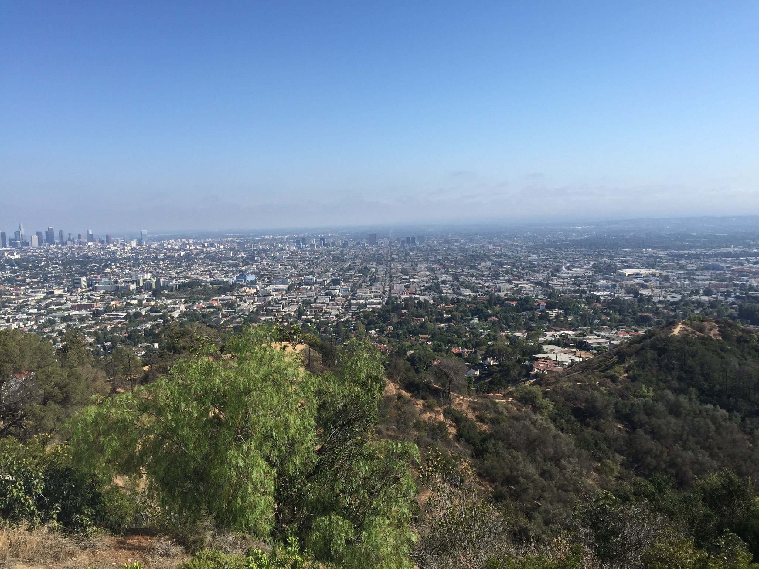 Just a preview of the view!