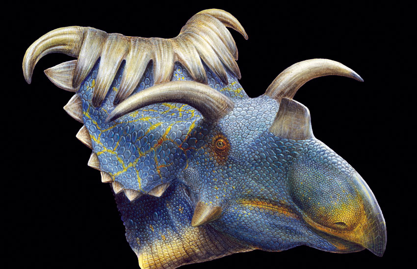 Kosmoceratops-horned-dino-002.jpg