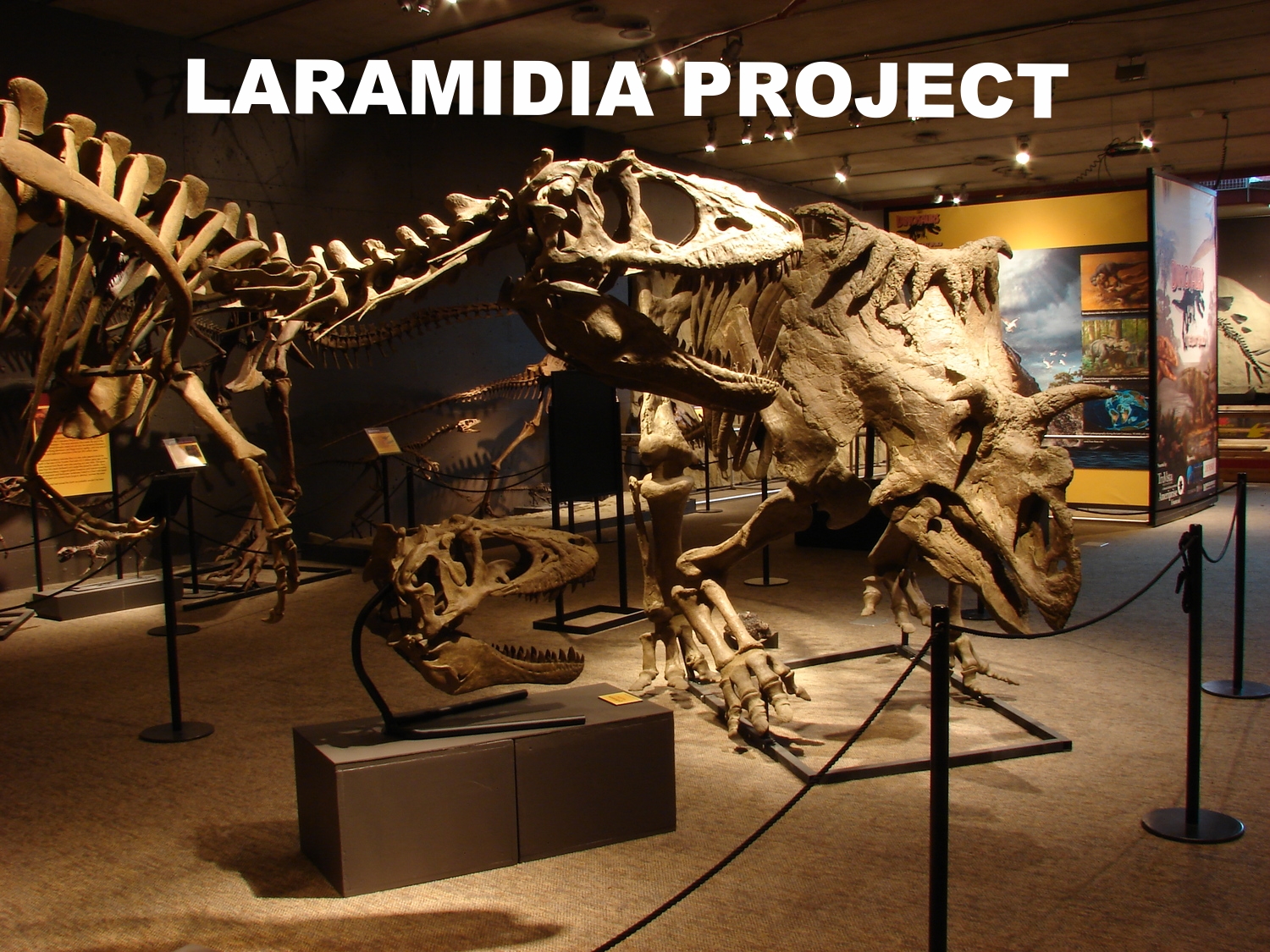 Laramidia Project Dinosaurs