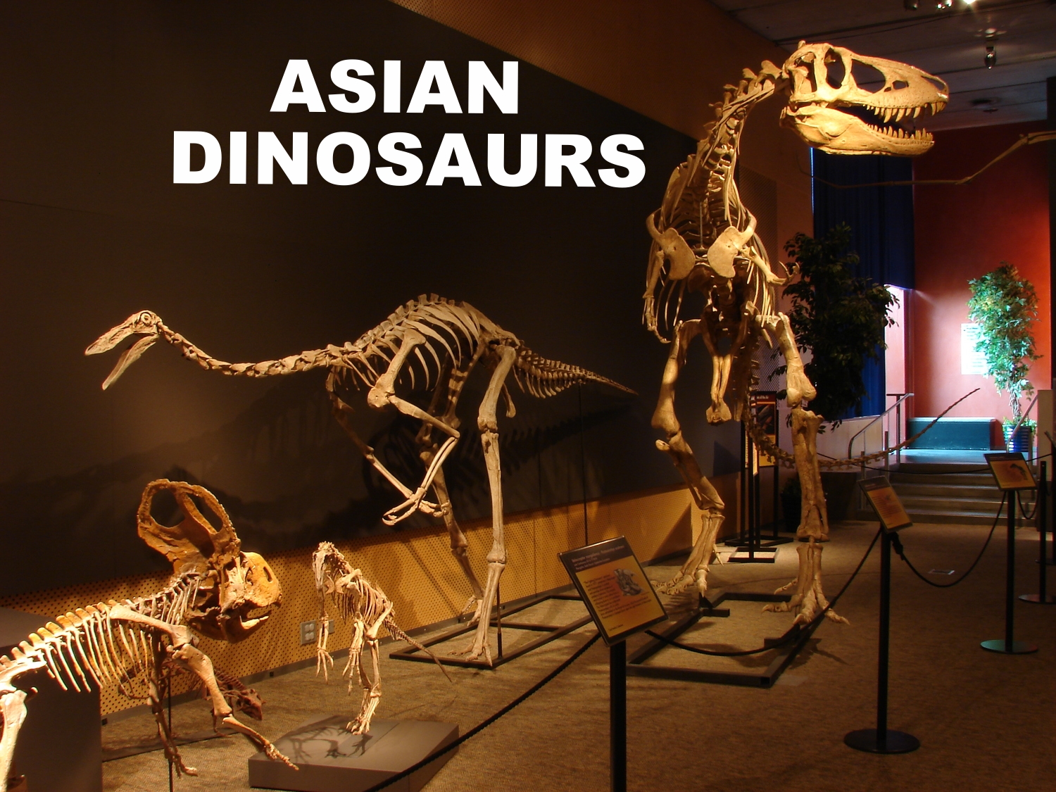 Cretaceous Dinosaurs of Asia