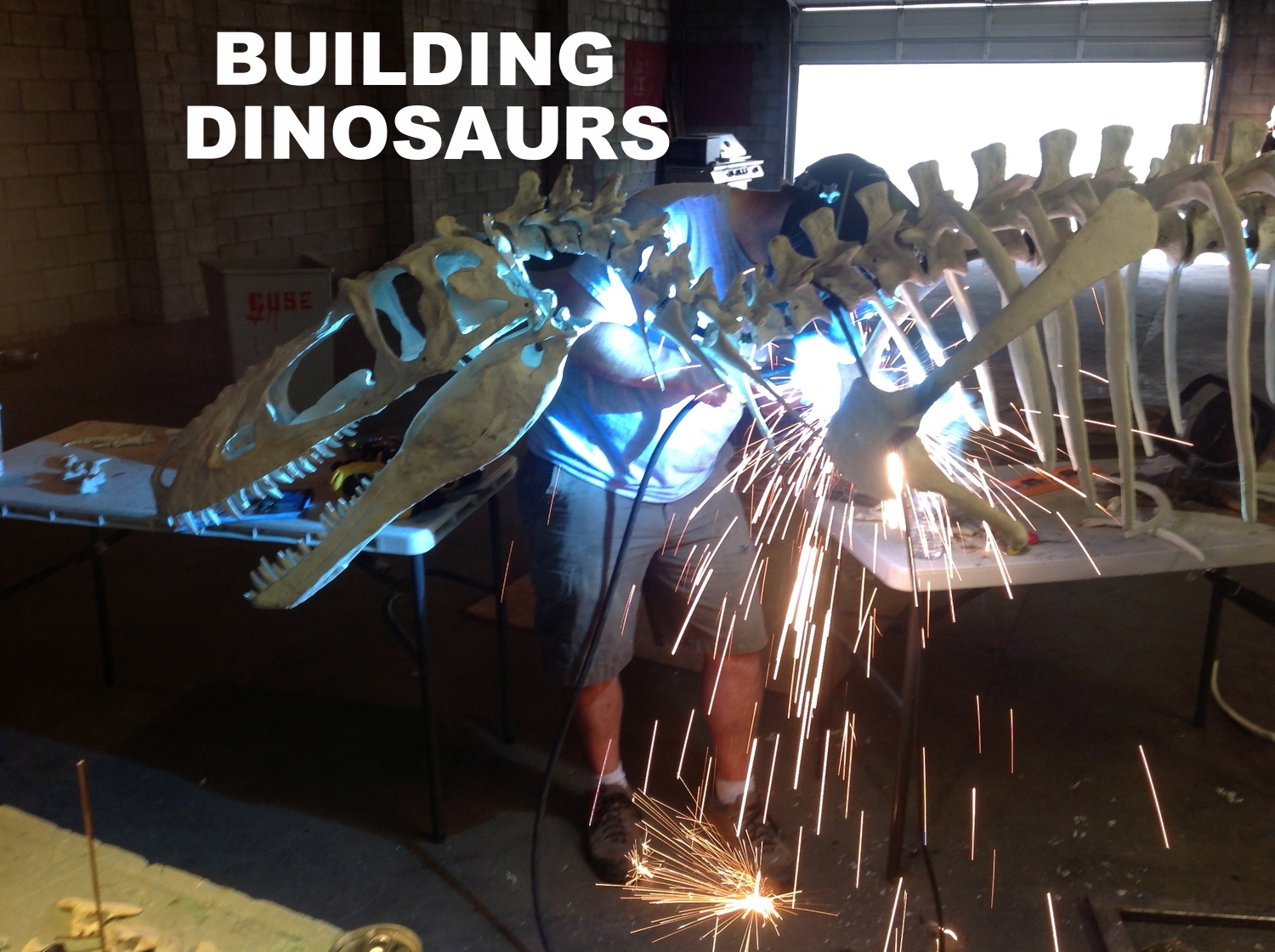 Building Dinosaurs