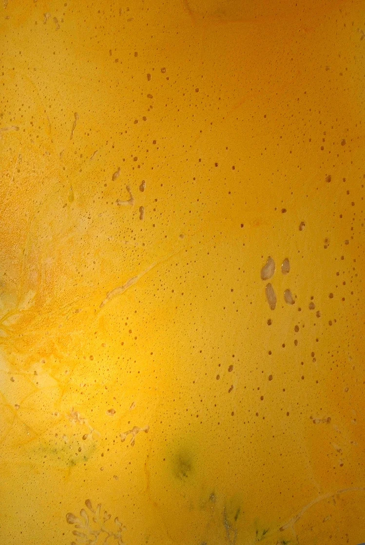 Citrus 