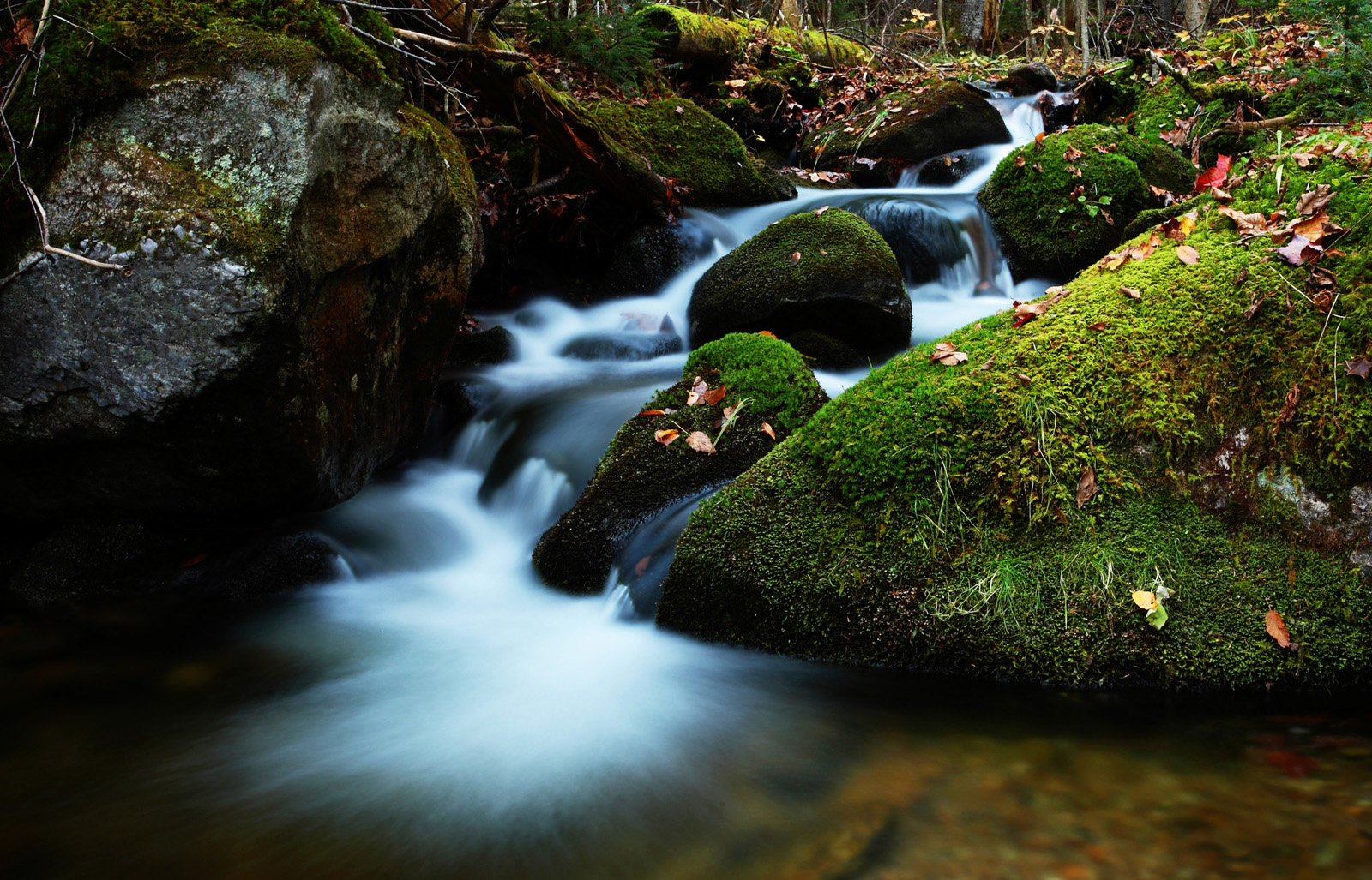 maine photographer