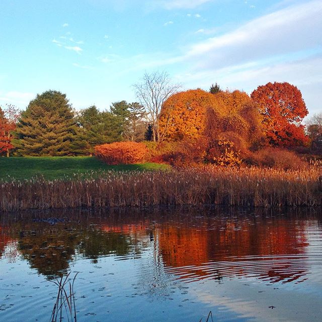 A very Maine scene... #maine #autumn #fall #leaves #foliage #newengland