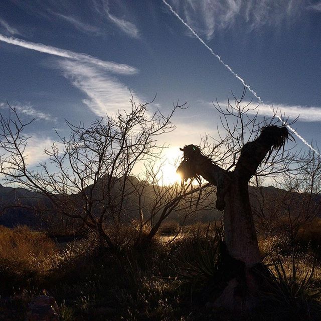 Oh yeah, Instagram! #nevada #sky #desert #nature #sunset #naturelovers