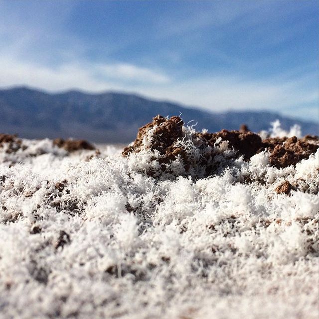 Salt at Badwater Basin... #desert #california #deathvalley #badwaterbasin #salt #west #deathvalleynationalpark #nature