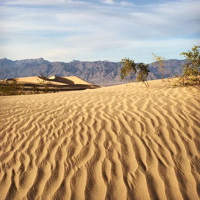 Death Valley sand dunes... #desert #california #sanddunes #west #deathvalley #nature #deathvalleynationalpark