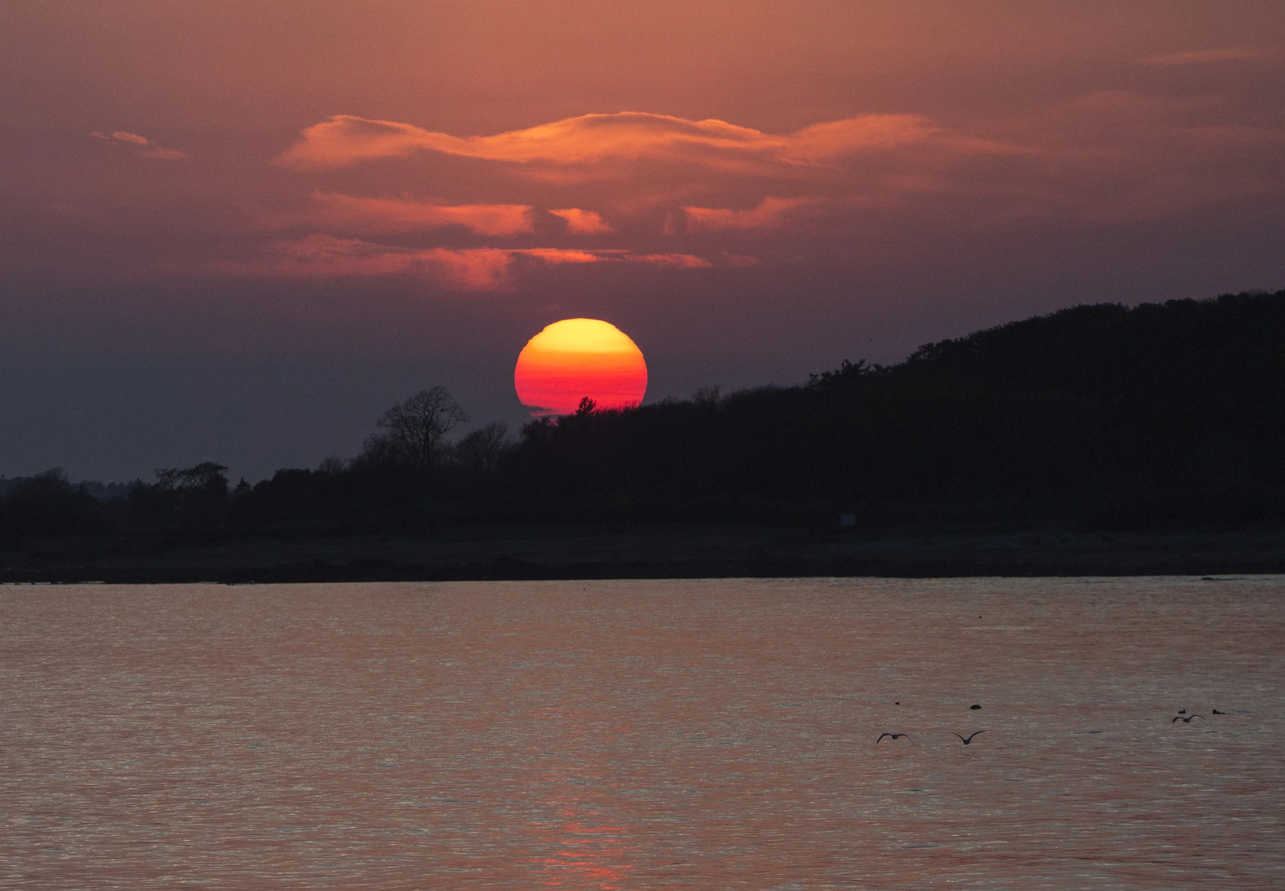 sun1.jpg