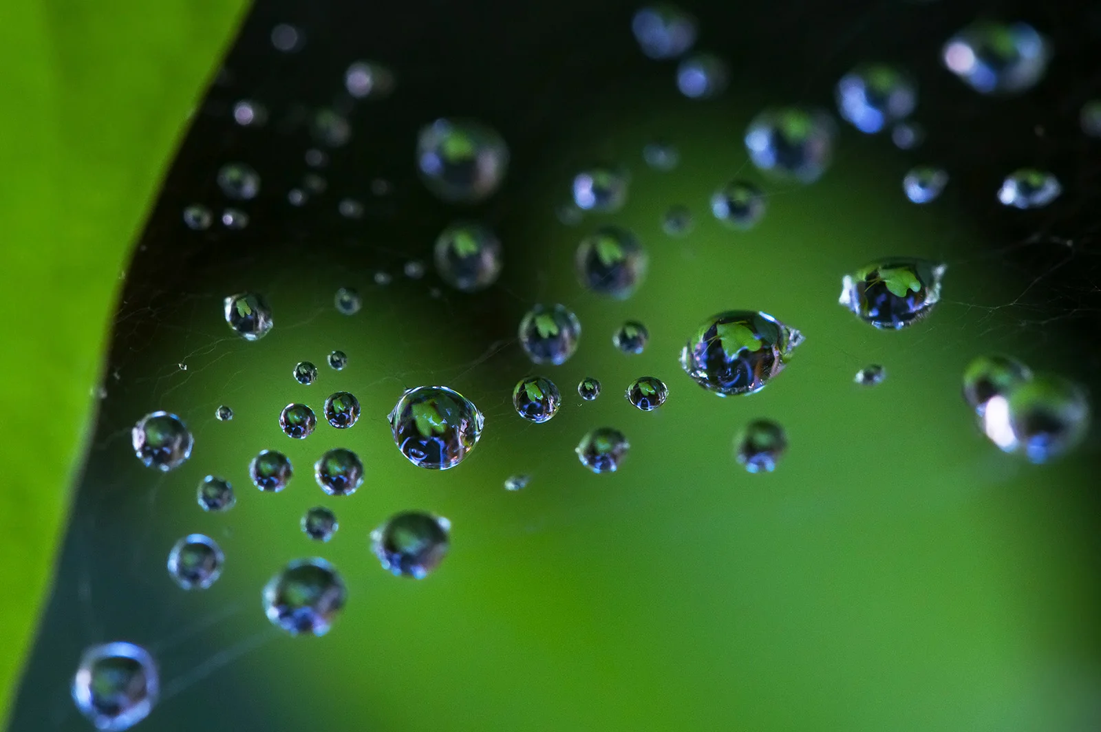 droplets-01.jpg