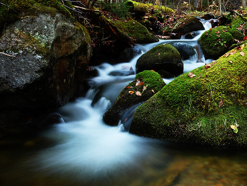 stream-01a.jpg