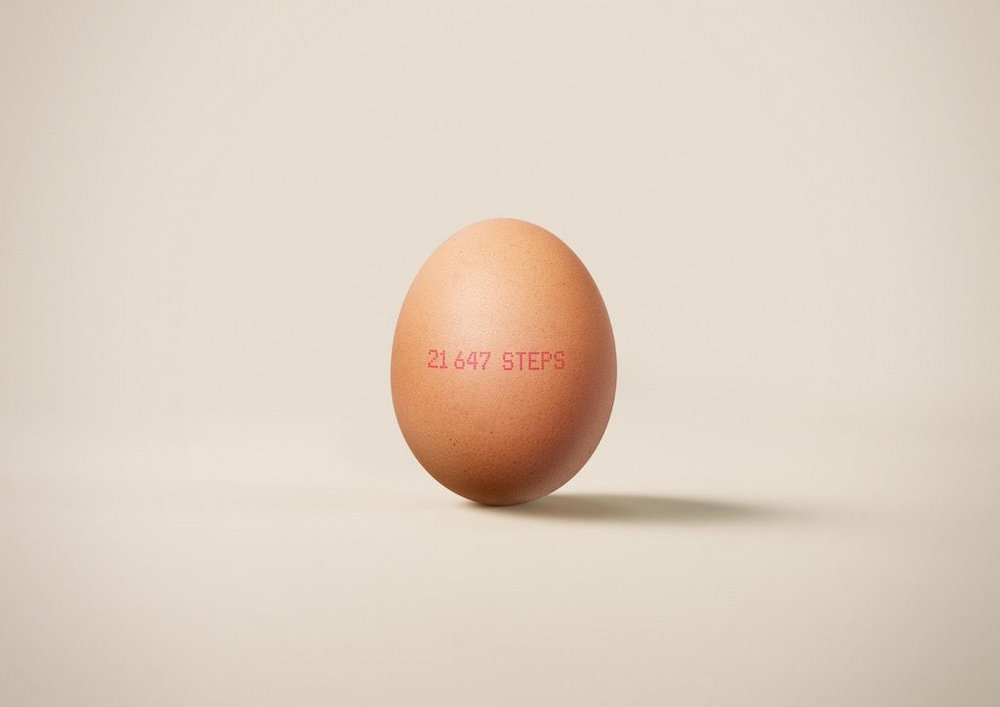 hero-visual-honest-eggs-co-egg.jpg