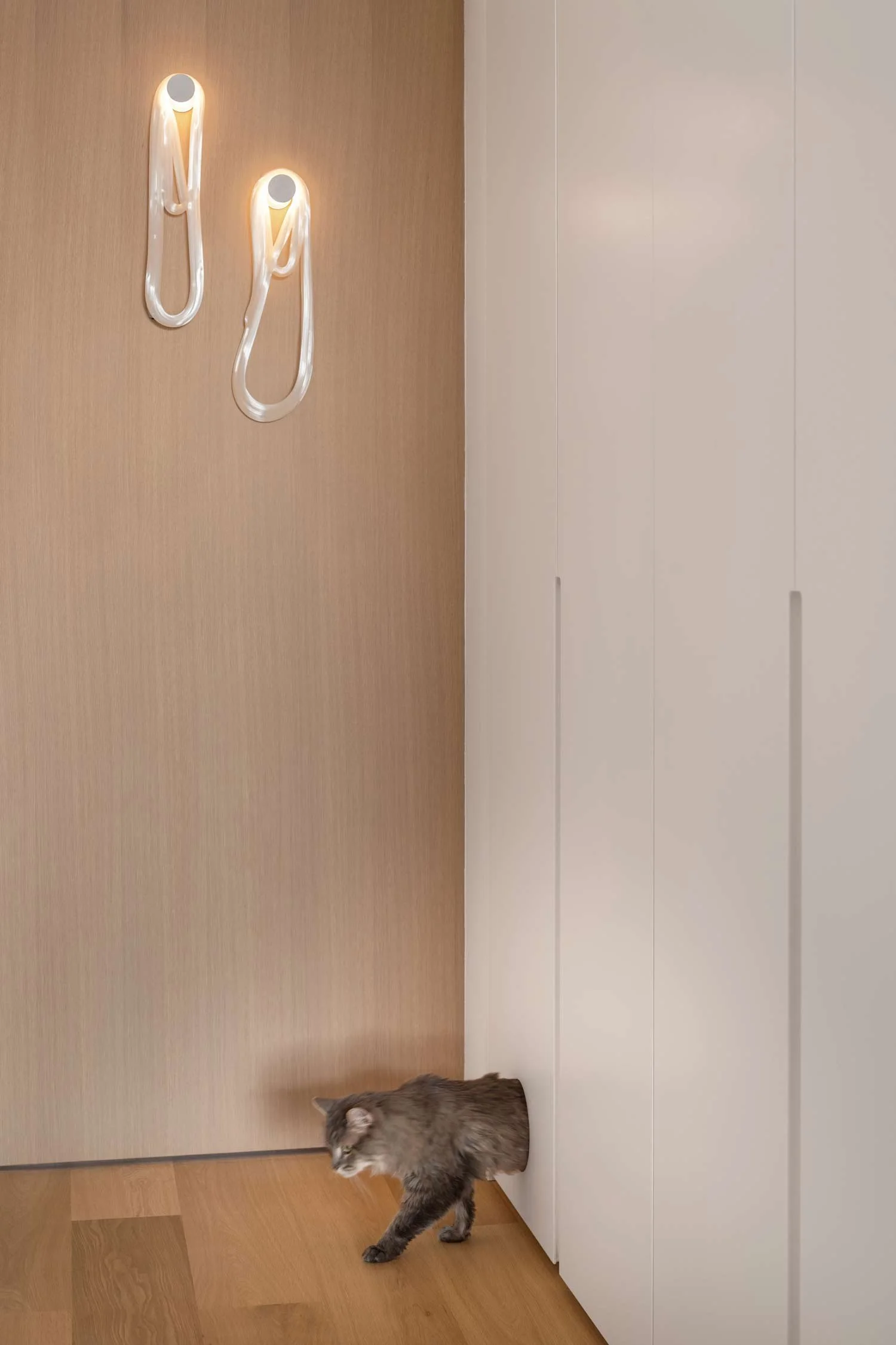 CAN 14 cat access.jpg