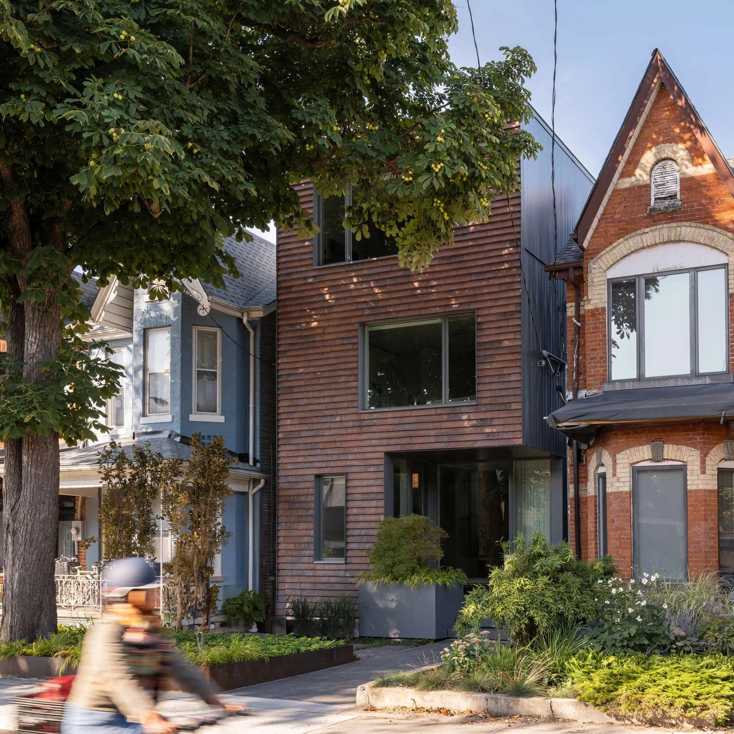 Palmerston | Kyra Clarkson Architect