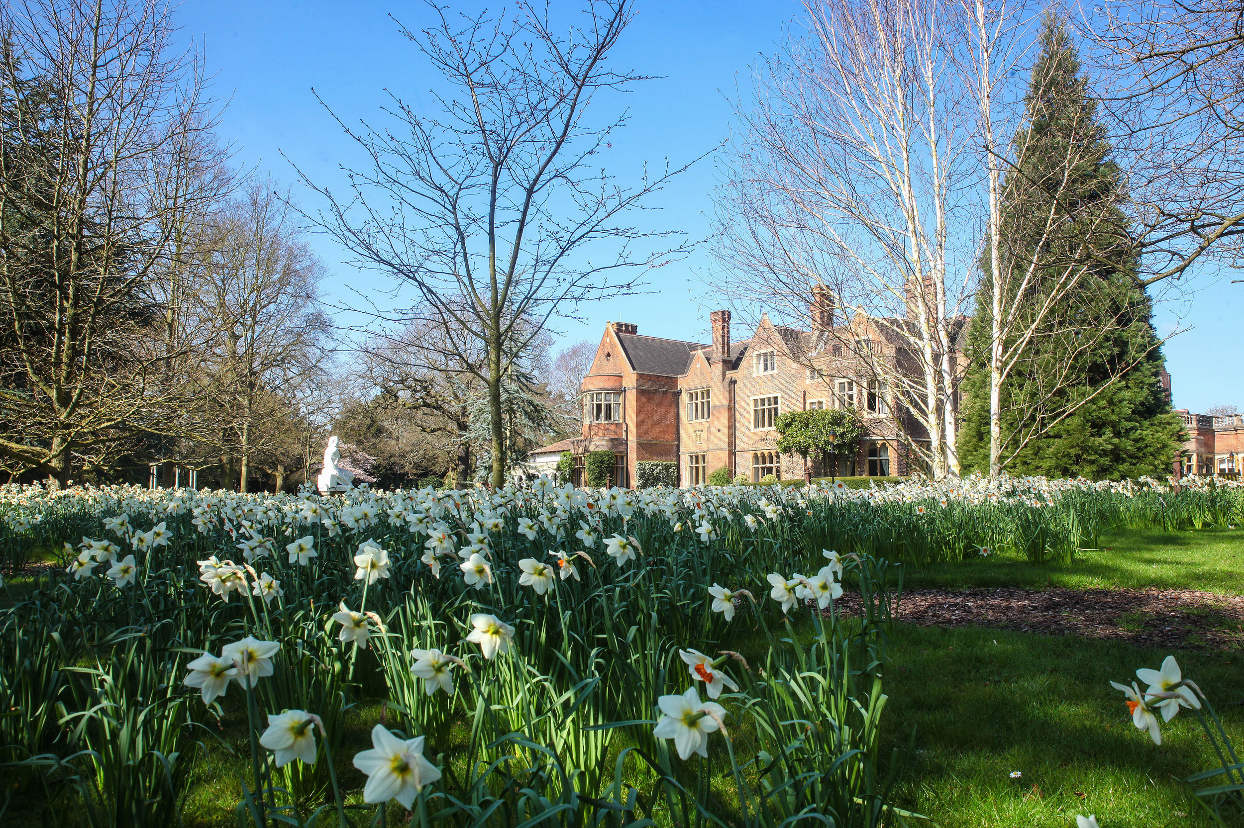 Warren House Hotel in Kingston