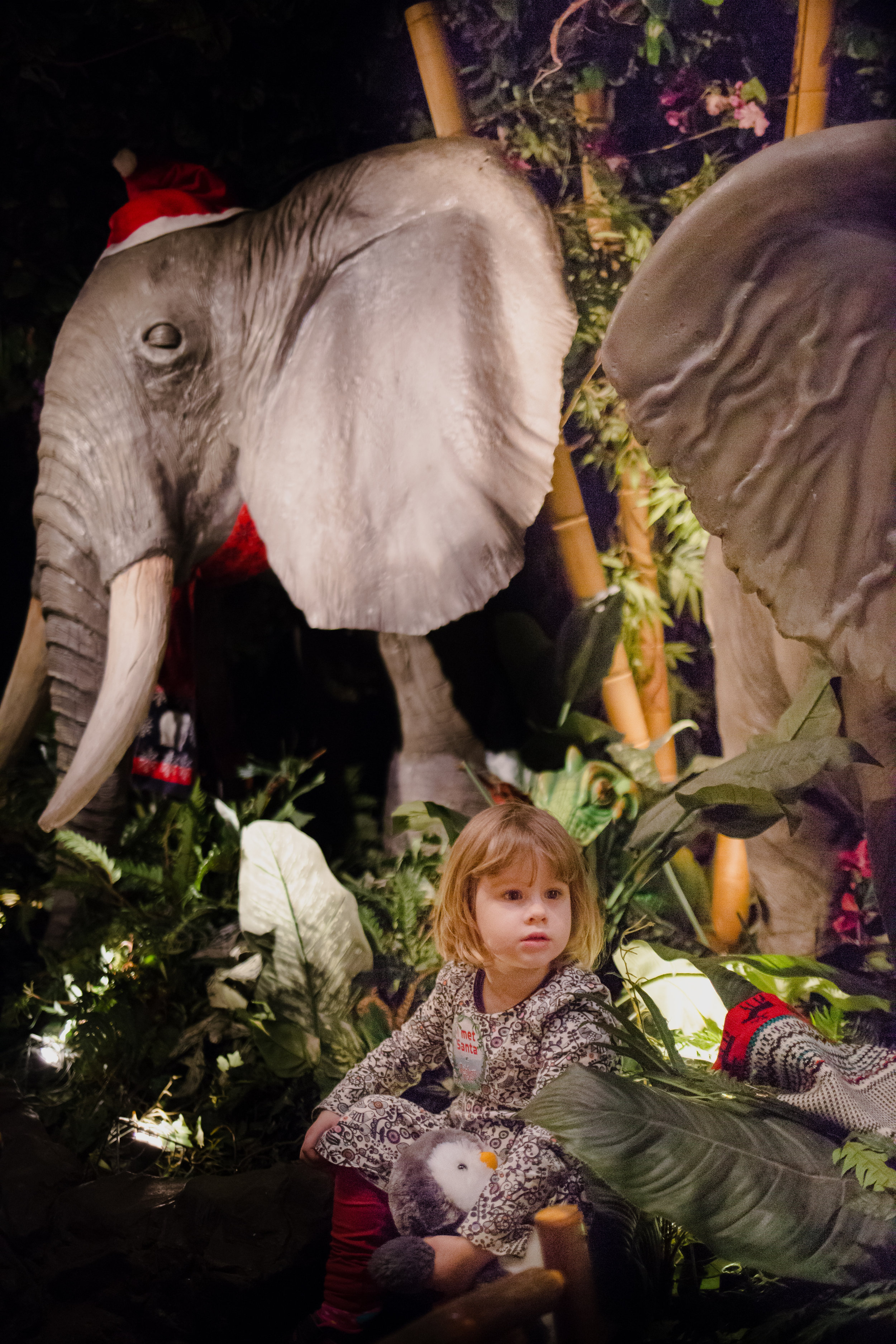 Katie-Collins-Rainforest-Cafe-7.jpg