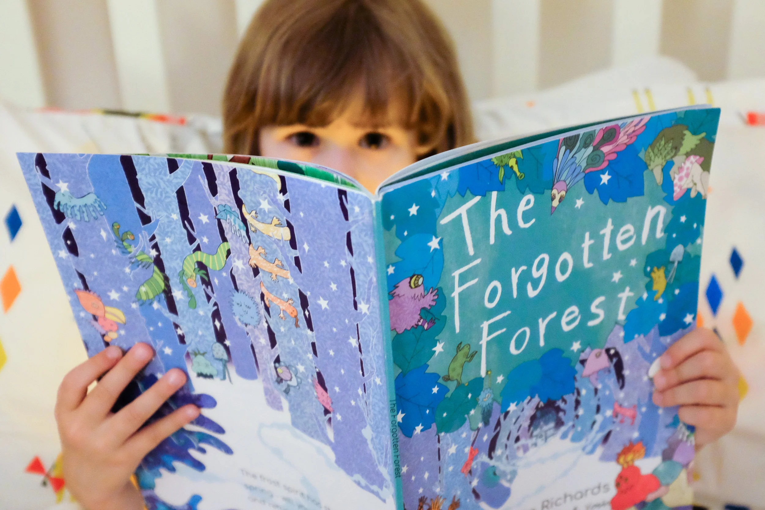 The Forgotten Forest 1.jpg