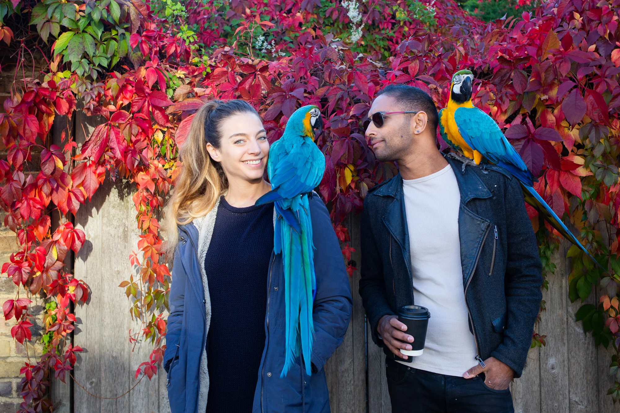 Macaws-16.jpg