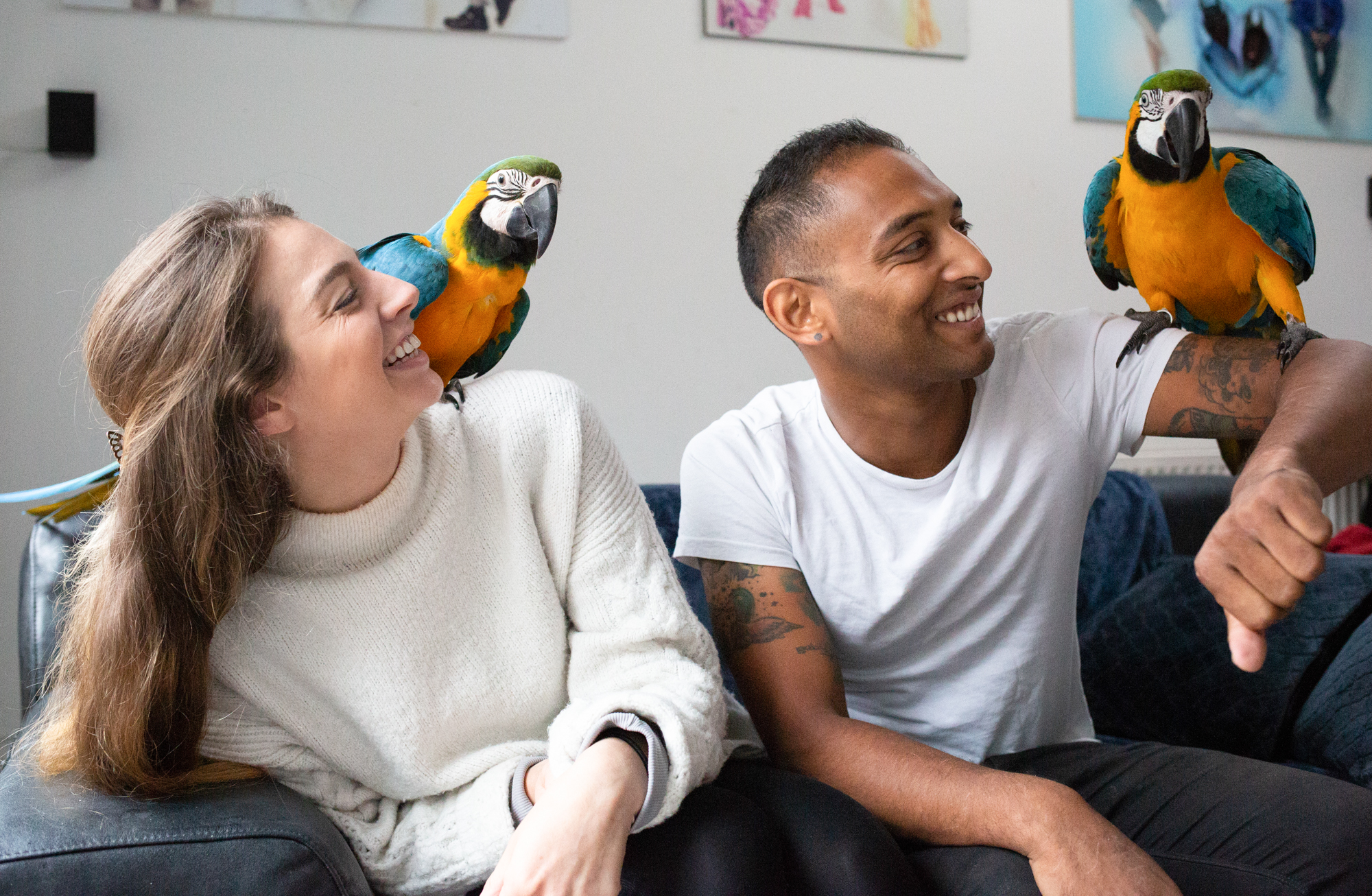 Macaws-12.jpg