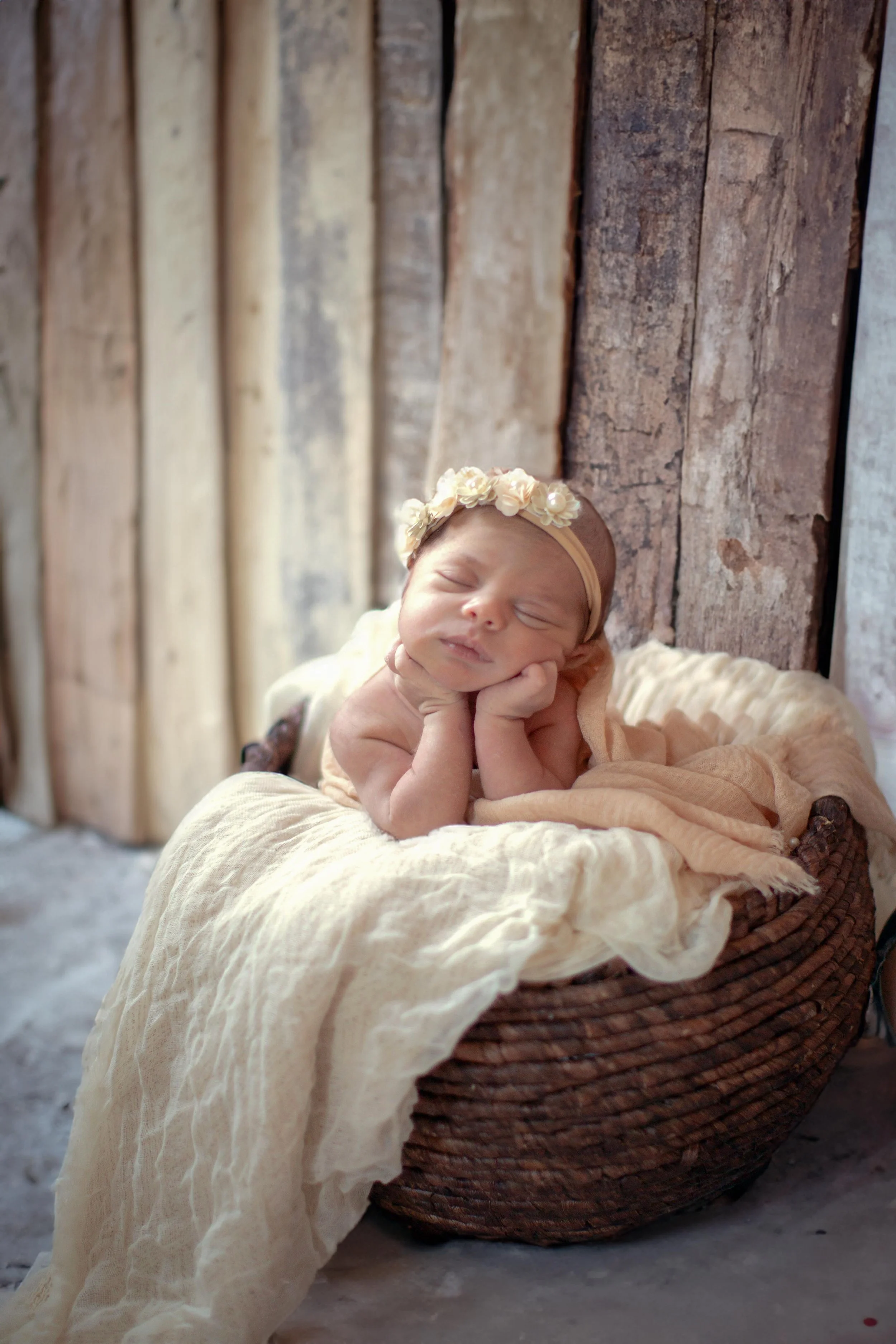 ShaiLewisFamilyShoot2024-66.jpg