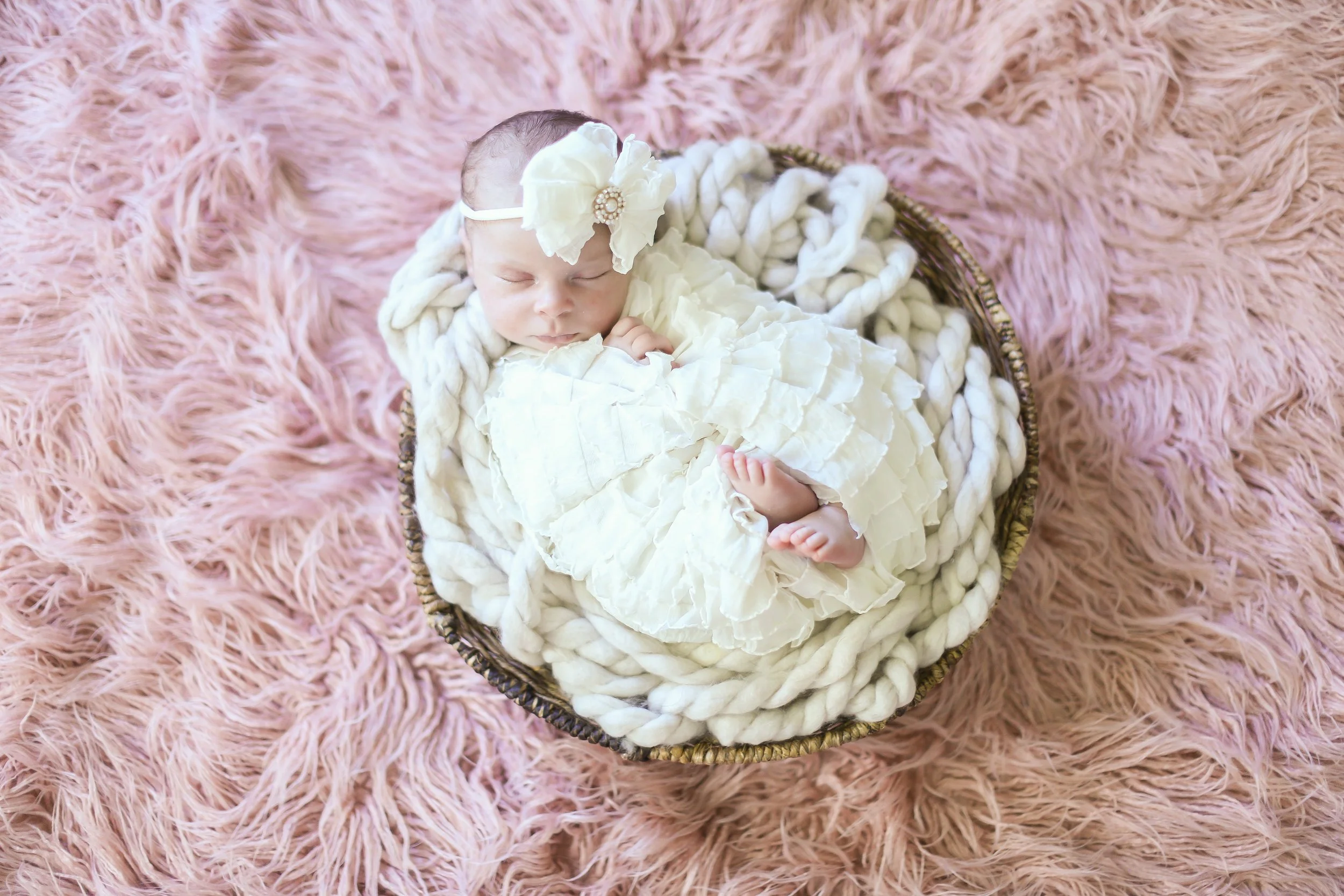 LewisFamily-1.jpg
