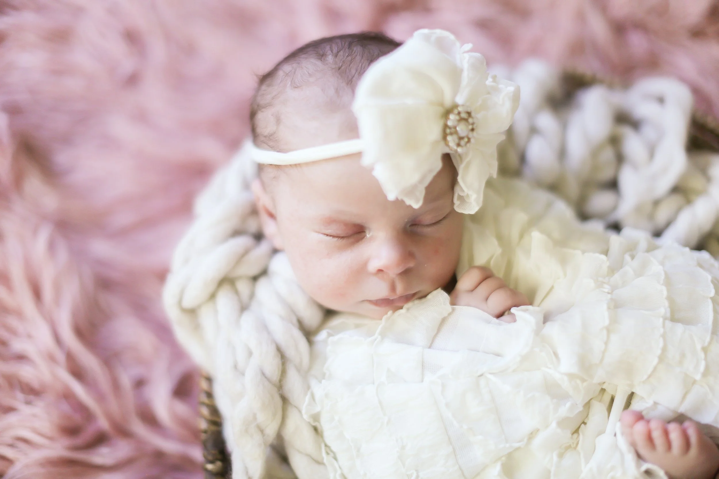 LewisFamily-11.jpg