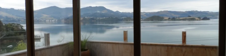 View out through balcony cropped for header.jpg