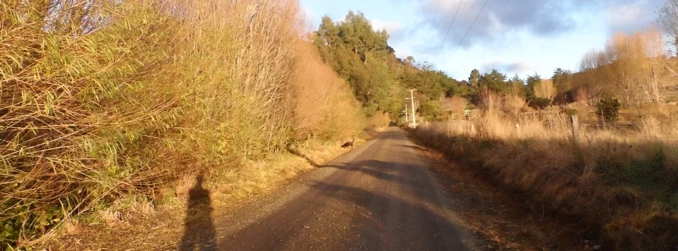 Bacon Street early winter.jpg