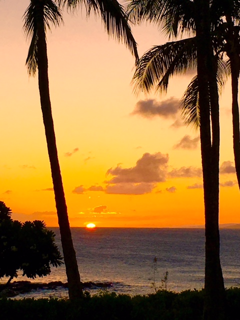 SUNSET 3.jpg