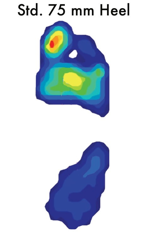 Pressure Map Std Heel.jpg