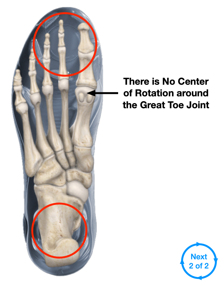 Dual COR 2.png