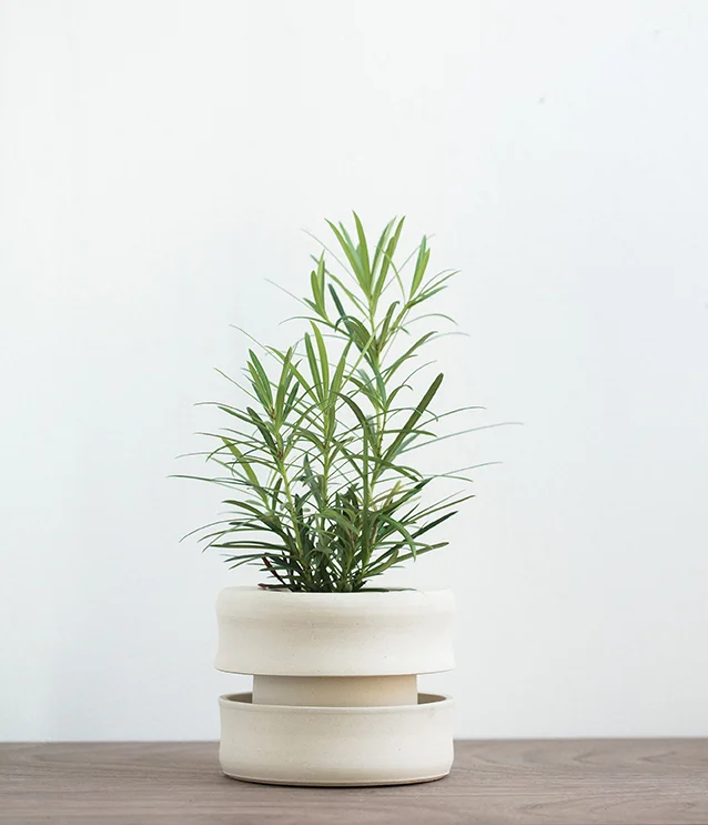 stoneware.space.band.jpg