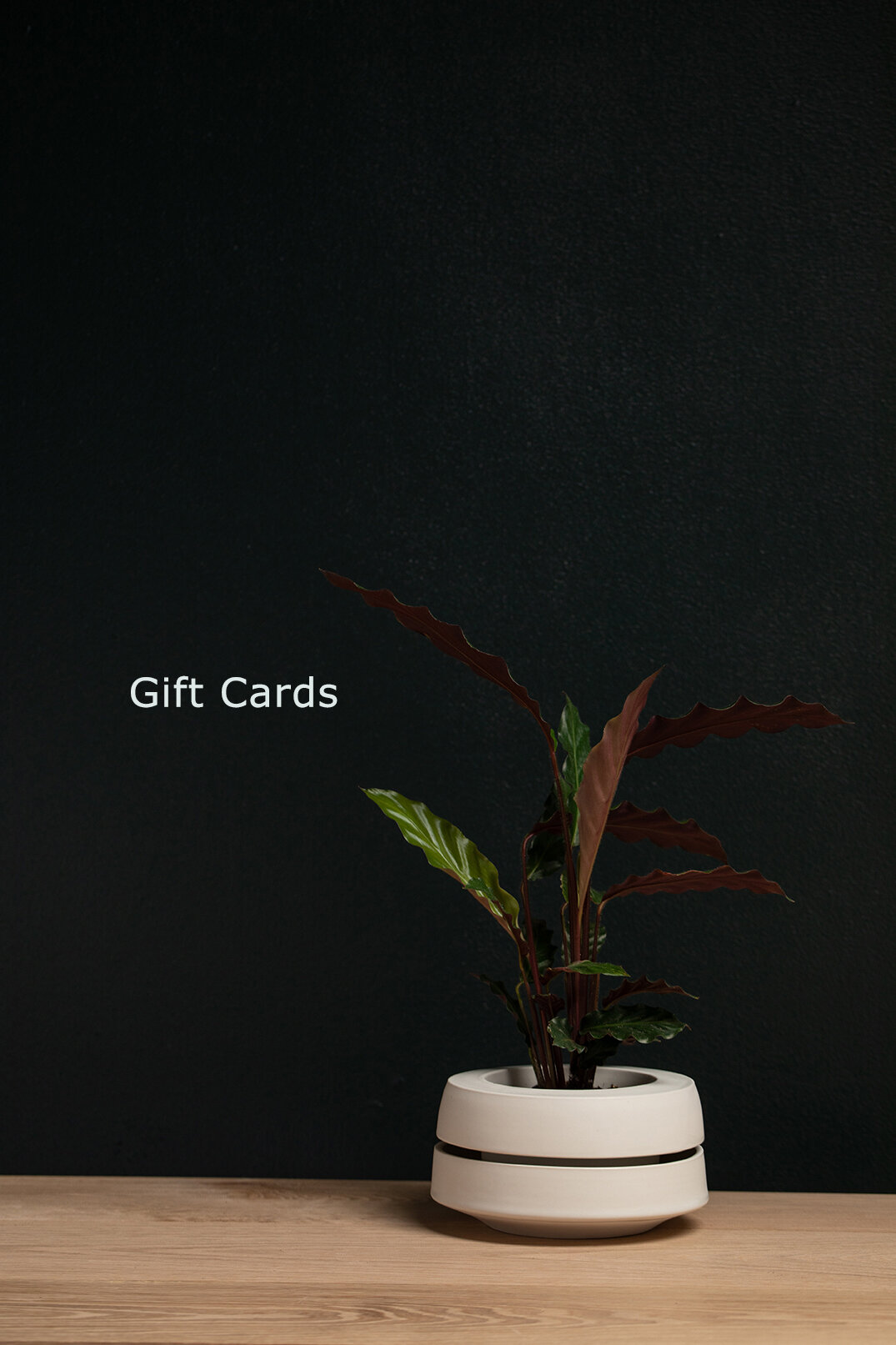 Gift Card to Taylor Ceramics 